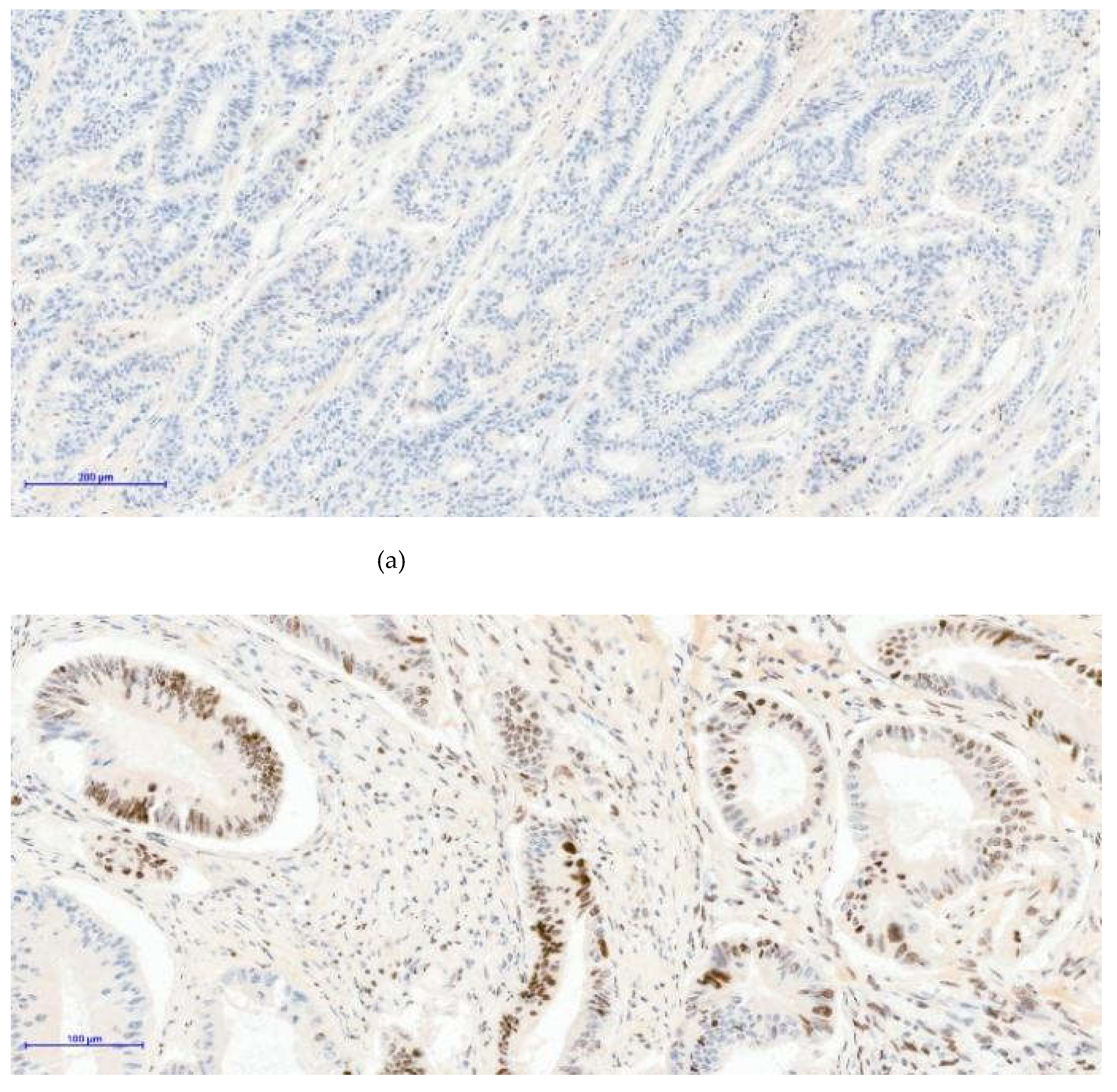 Preprints 198517 g003a
