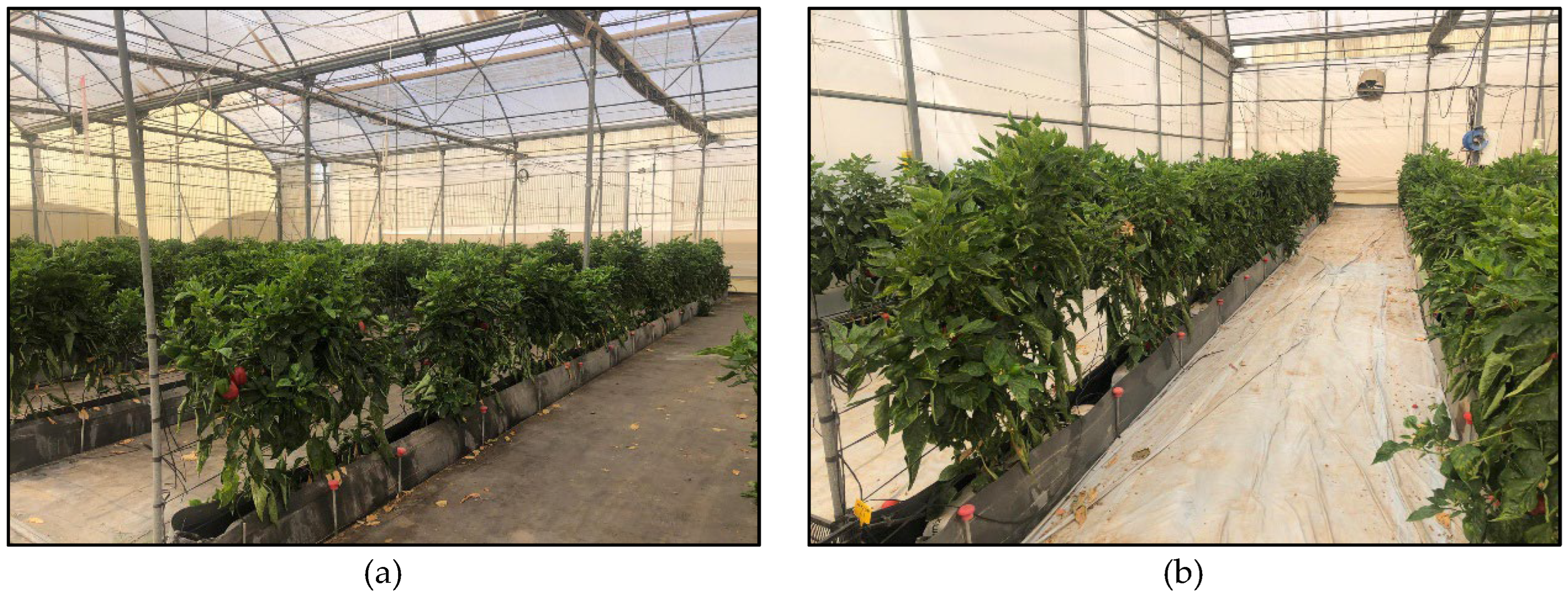 Preprints 193005 g002