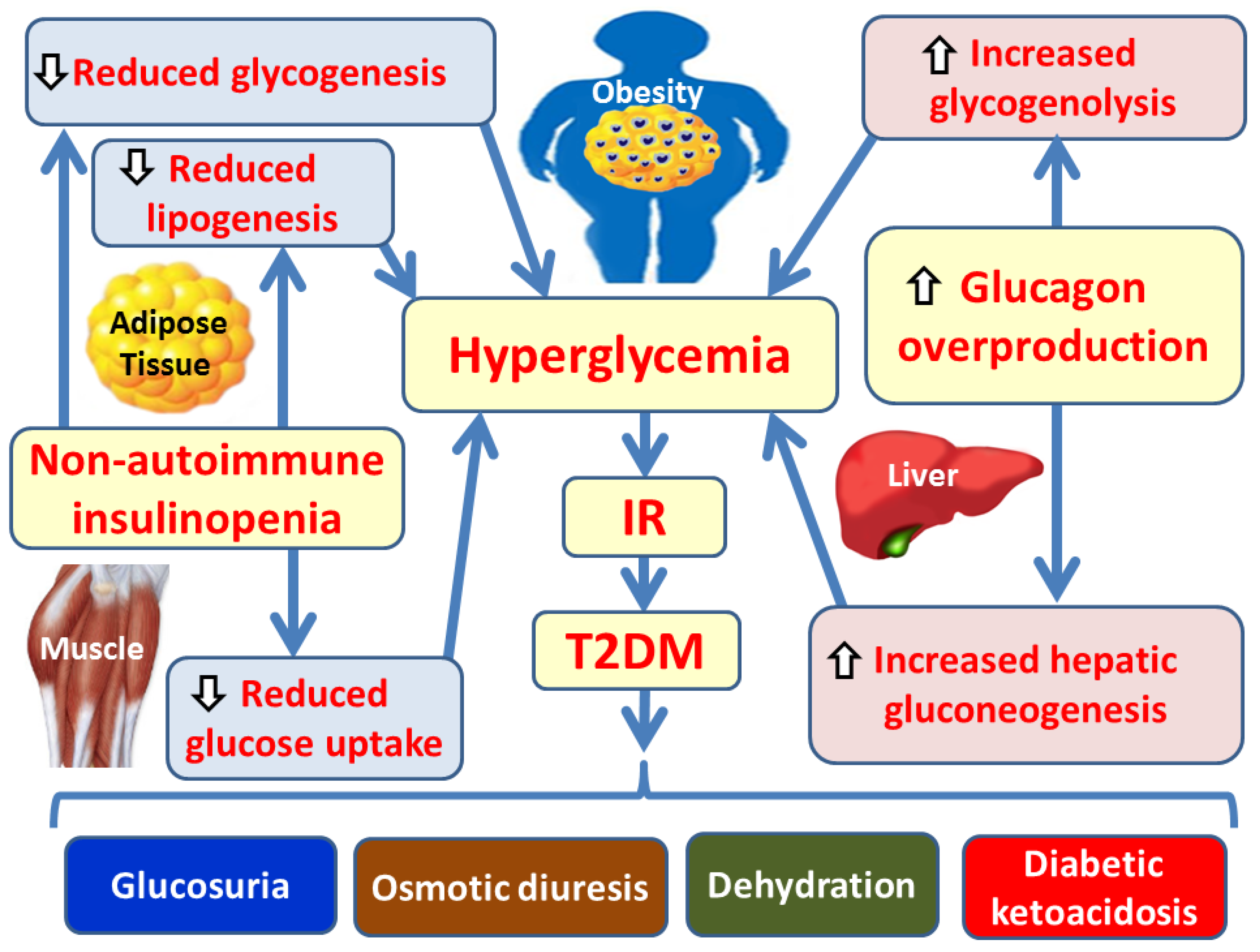 Preprints 183363 g001