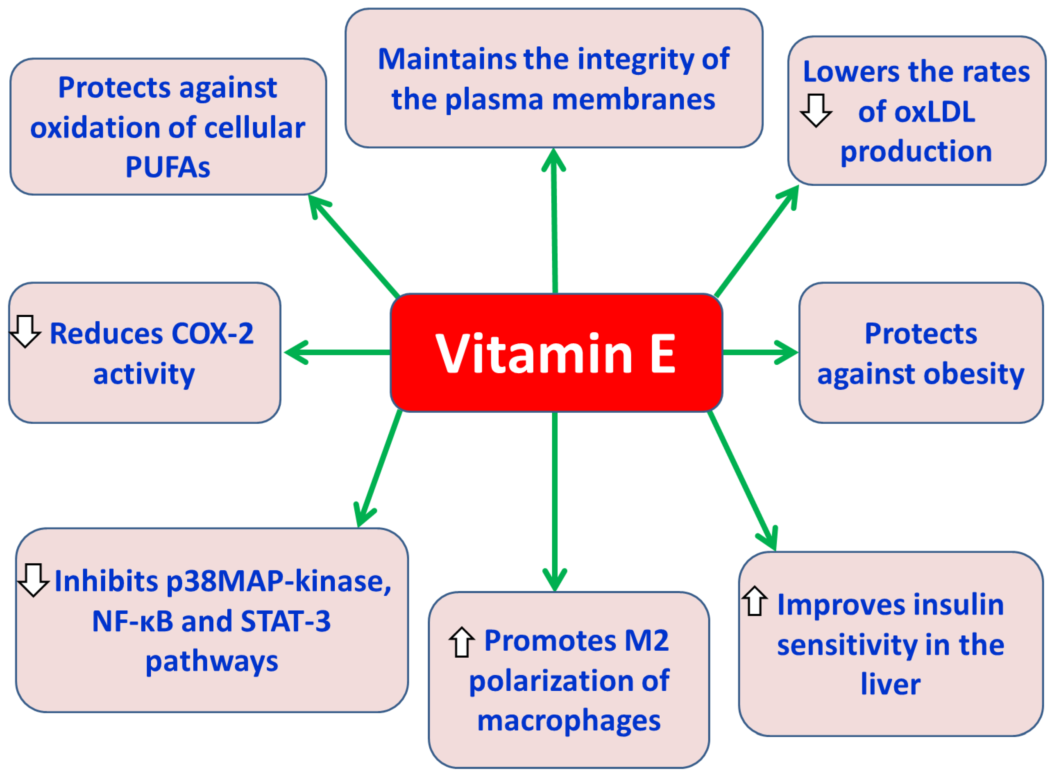 Preprints 183363 g002