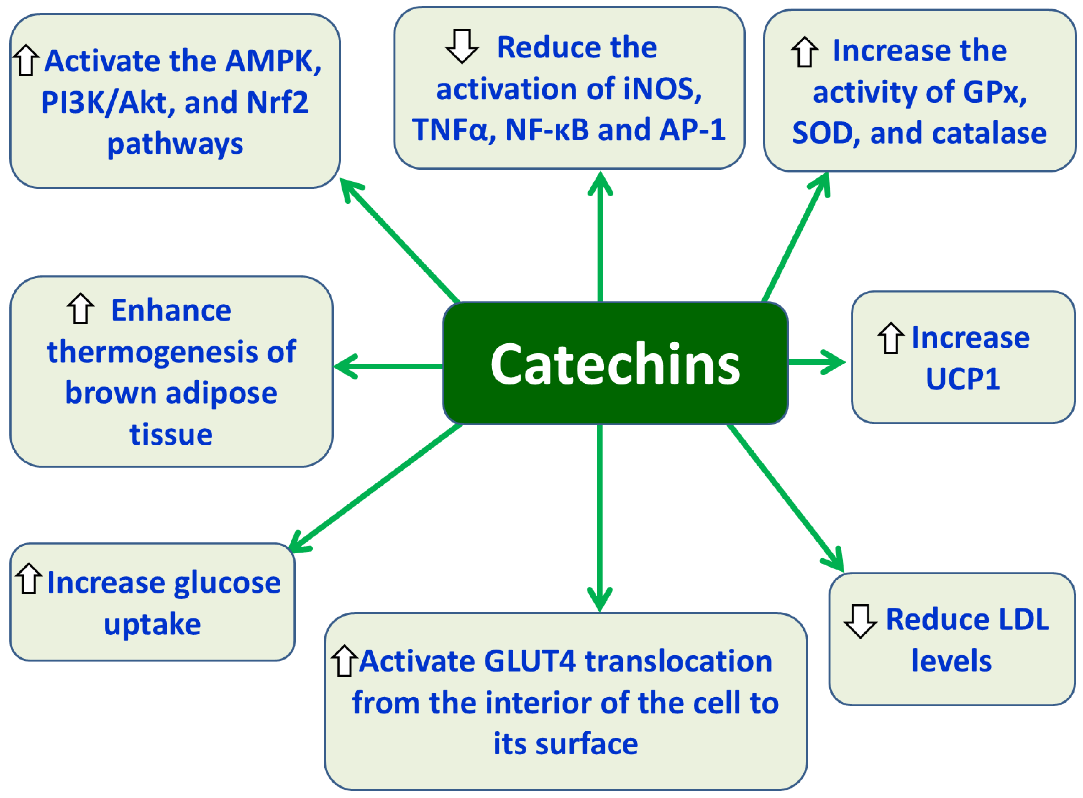 Preprints 183363 g003