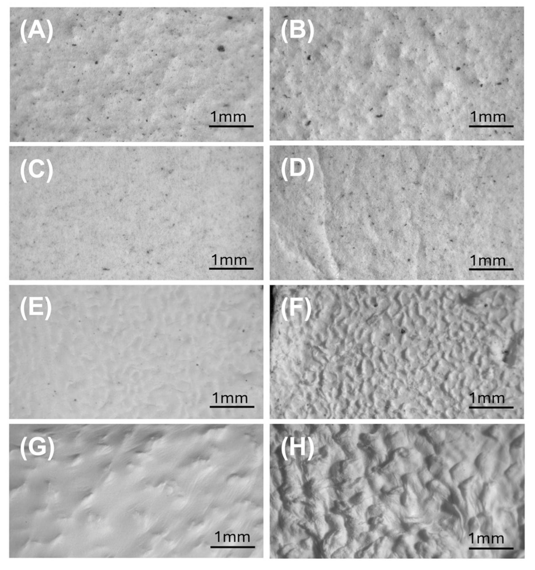 Preprints 198420 g006