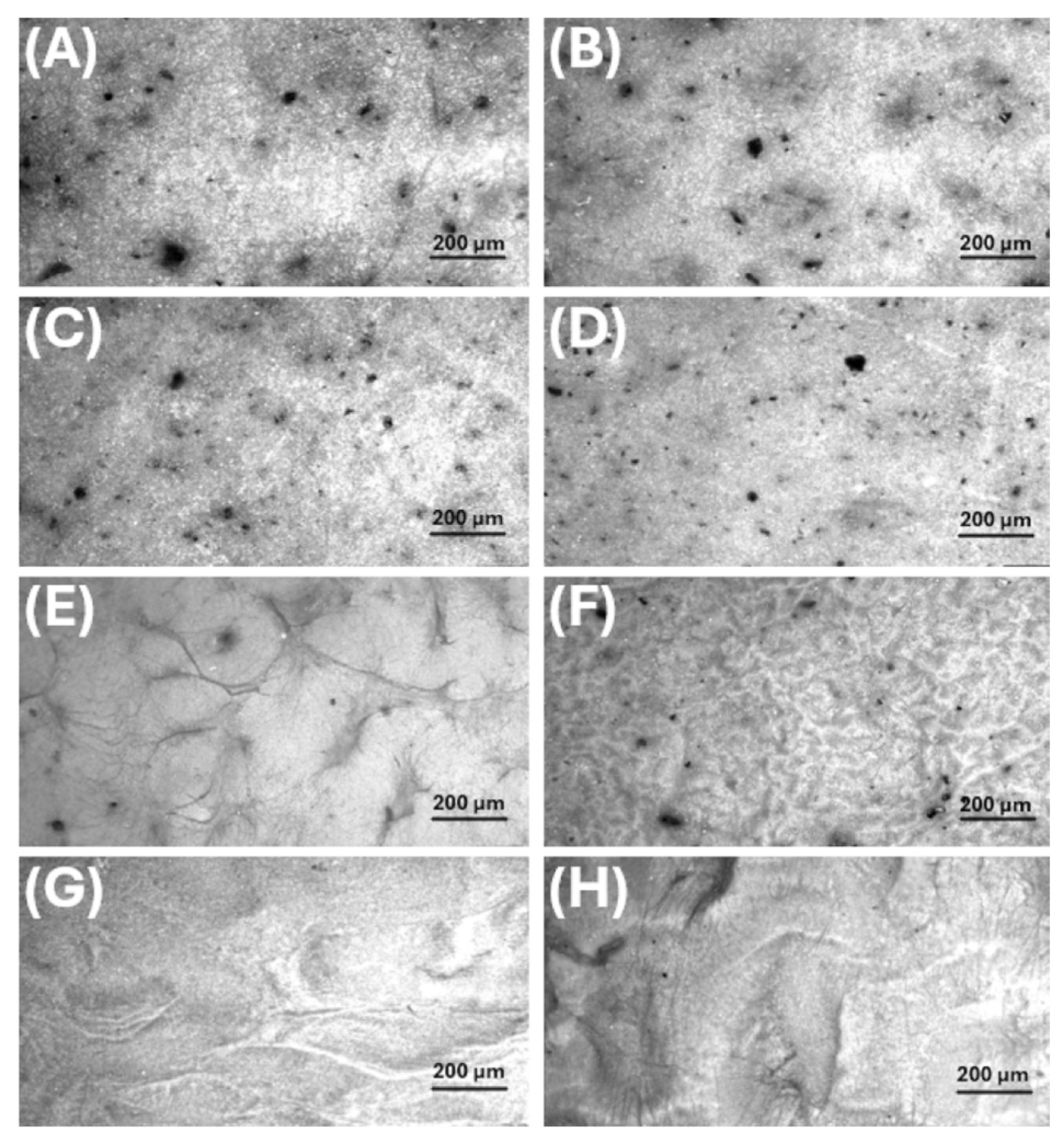 Preprints 198420 g007