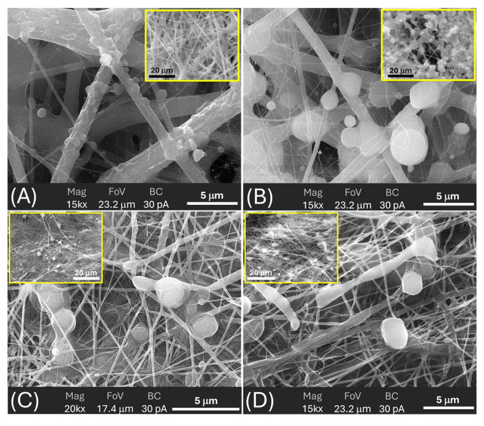 Preprints 198420 g008