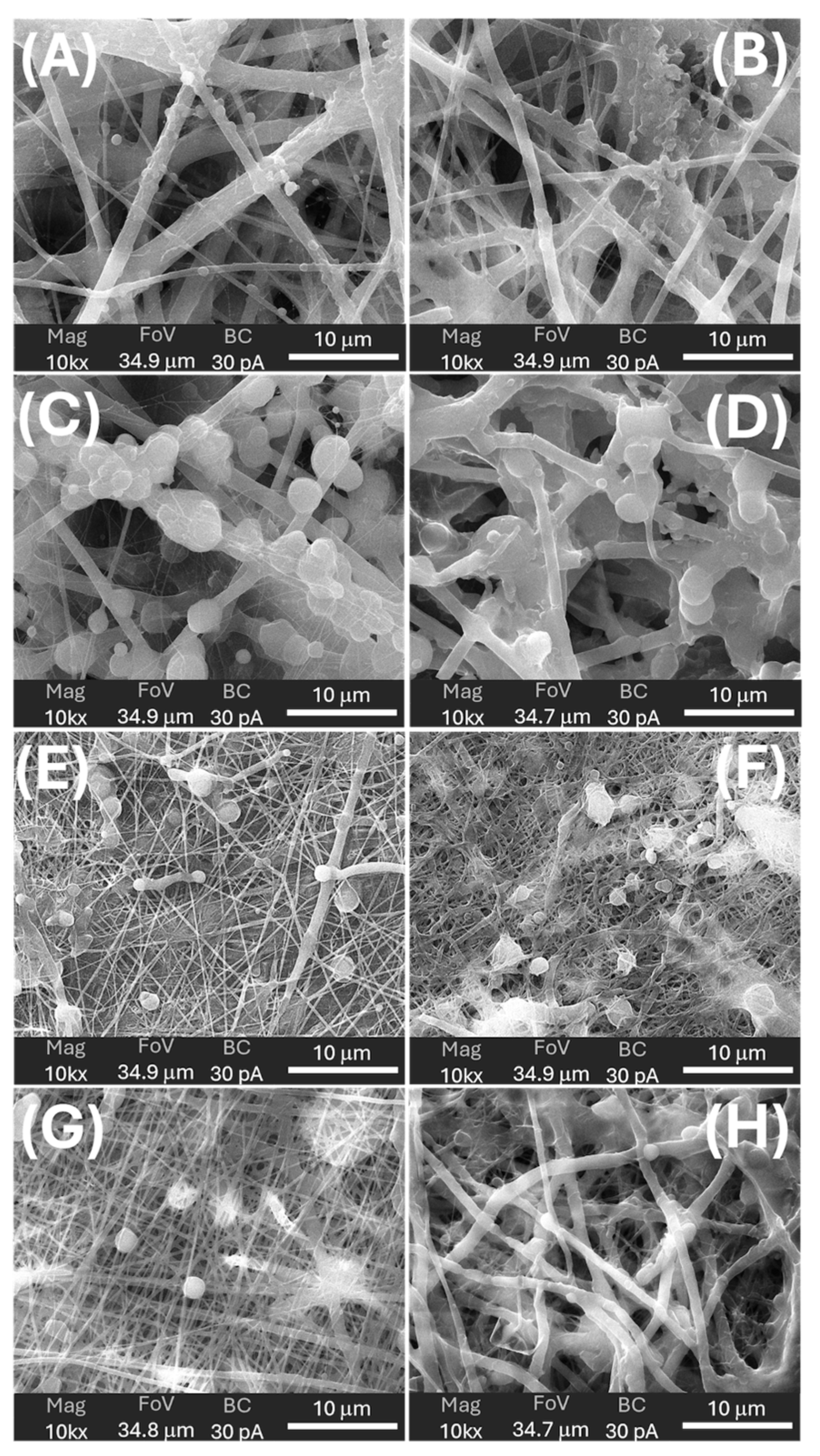 Preprints 198420 g009