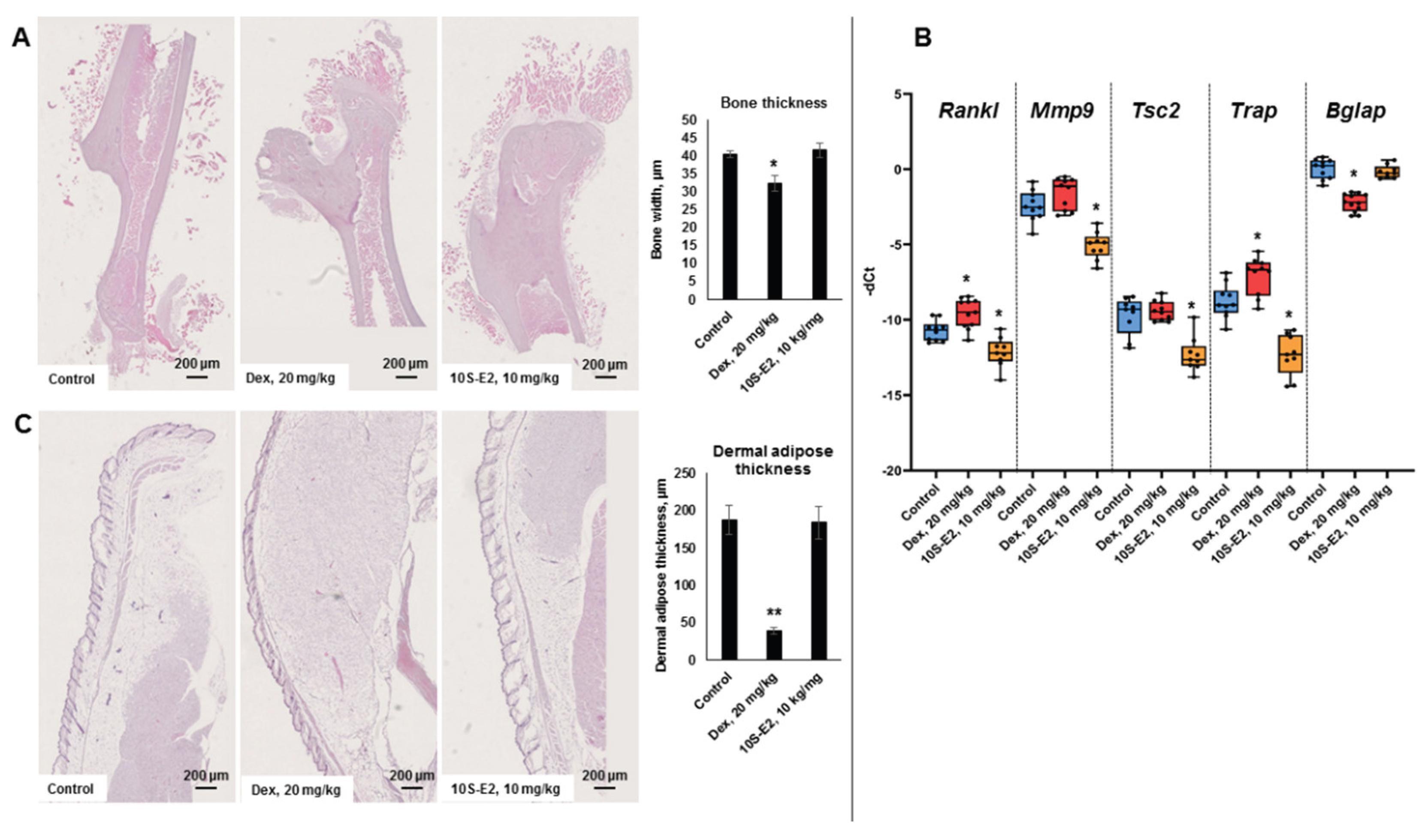 Preprints 182065 g006