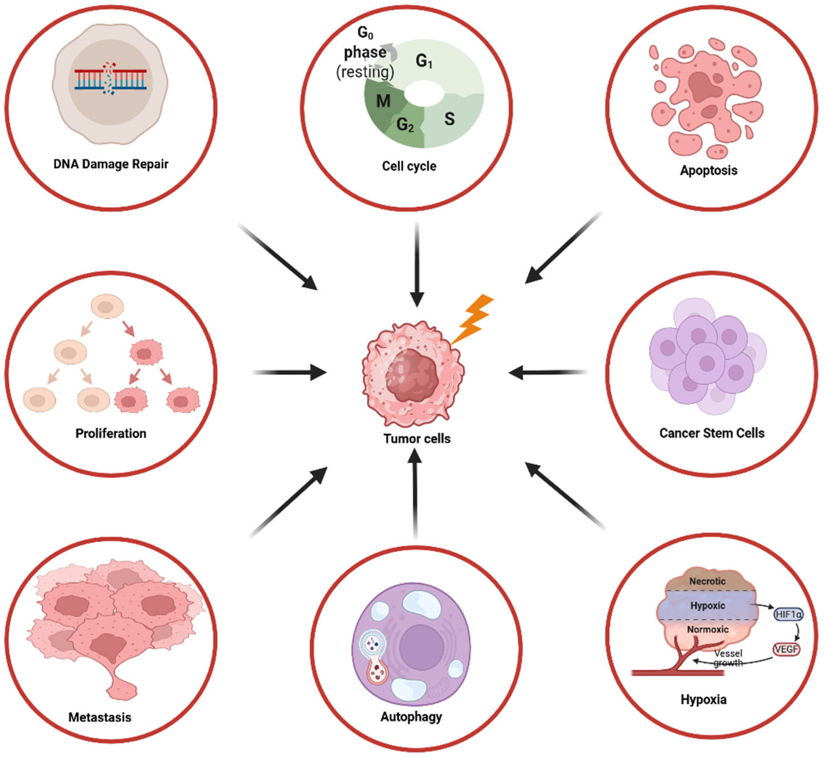 Preprints 162389 g001