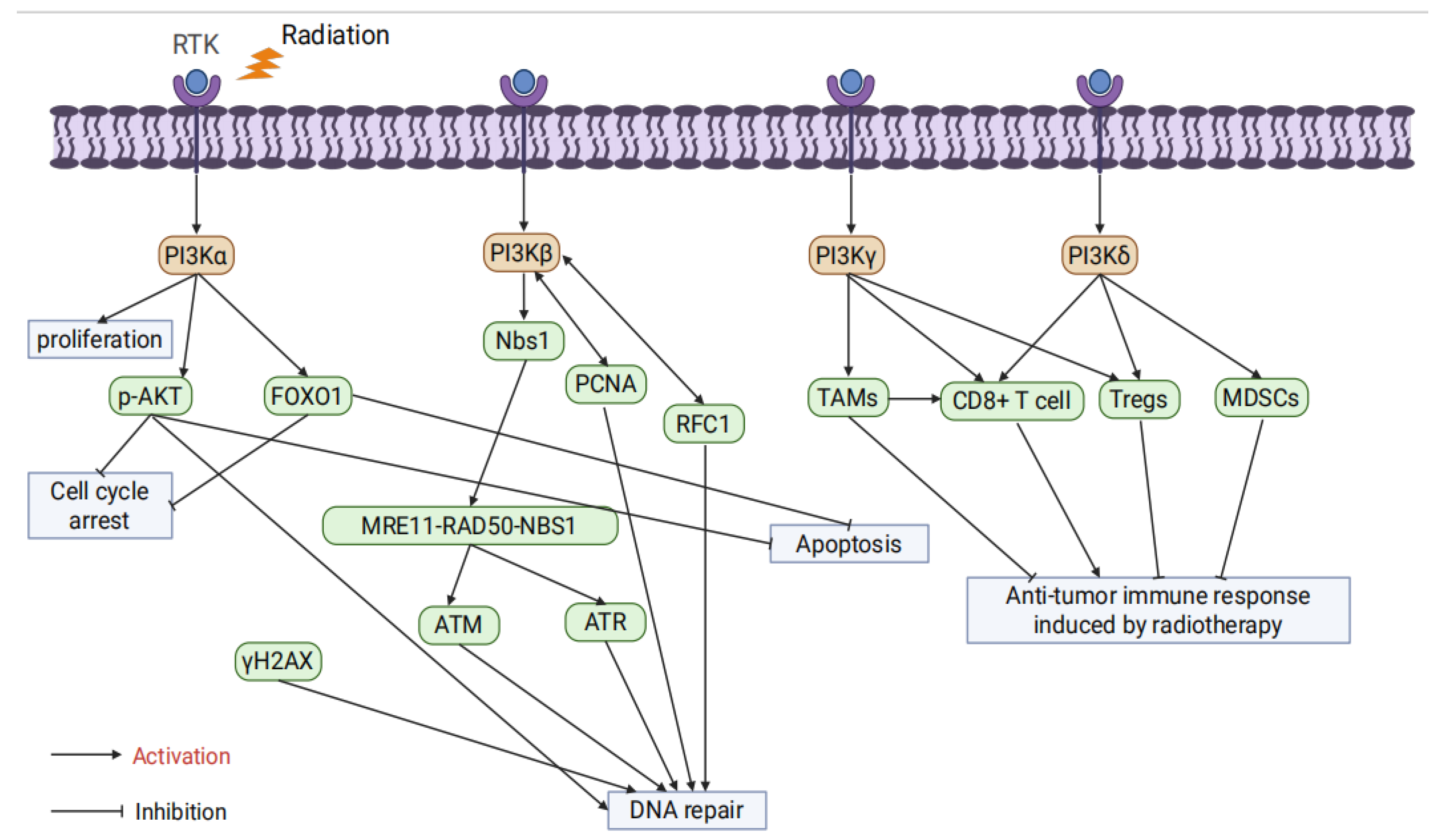 Preprints 162389 g002