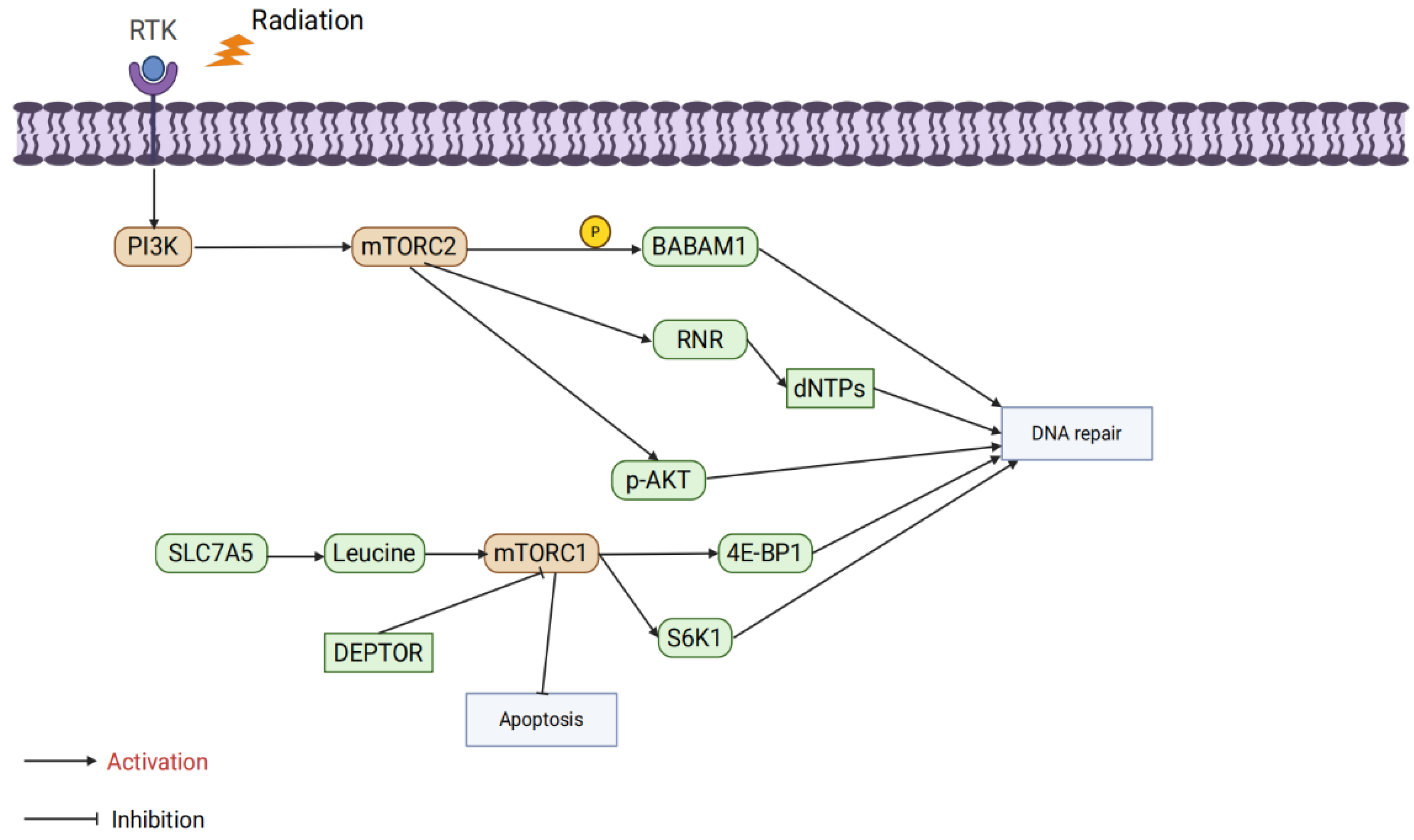 Preprints 162389 g004