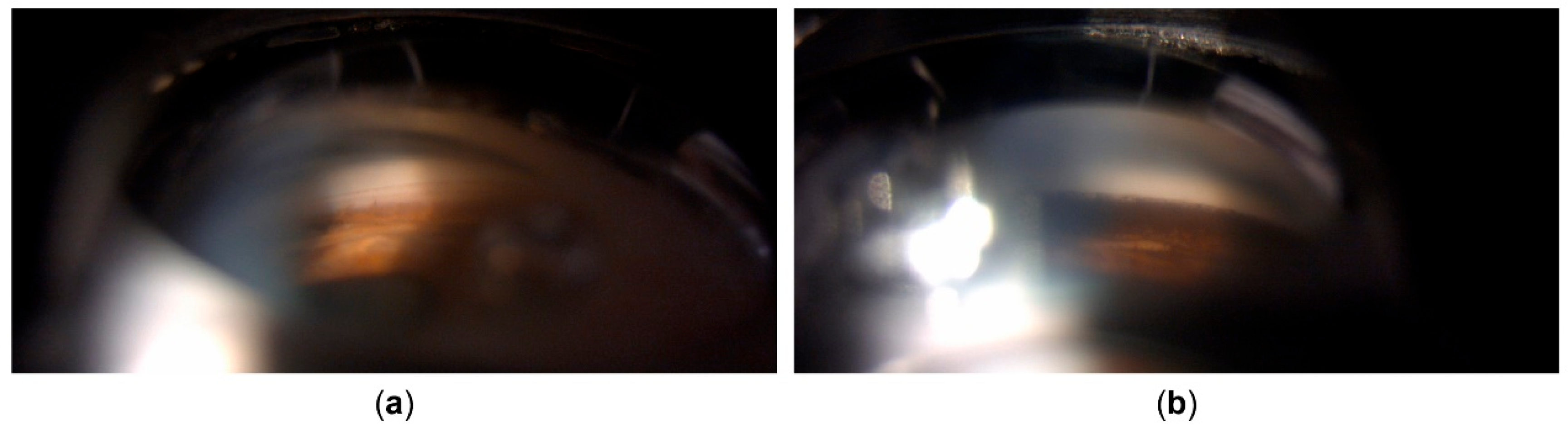 Preprints 162242 g003