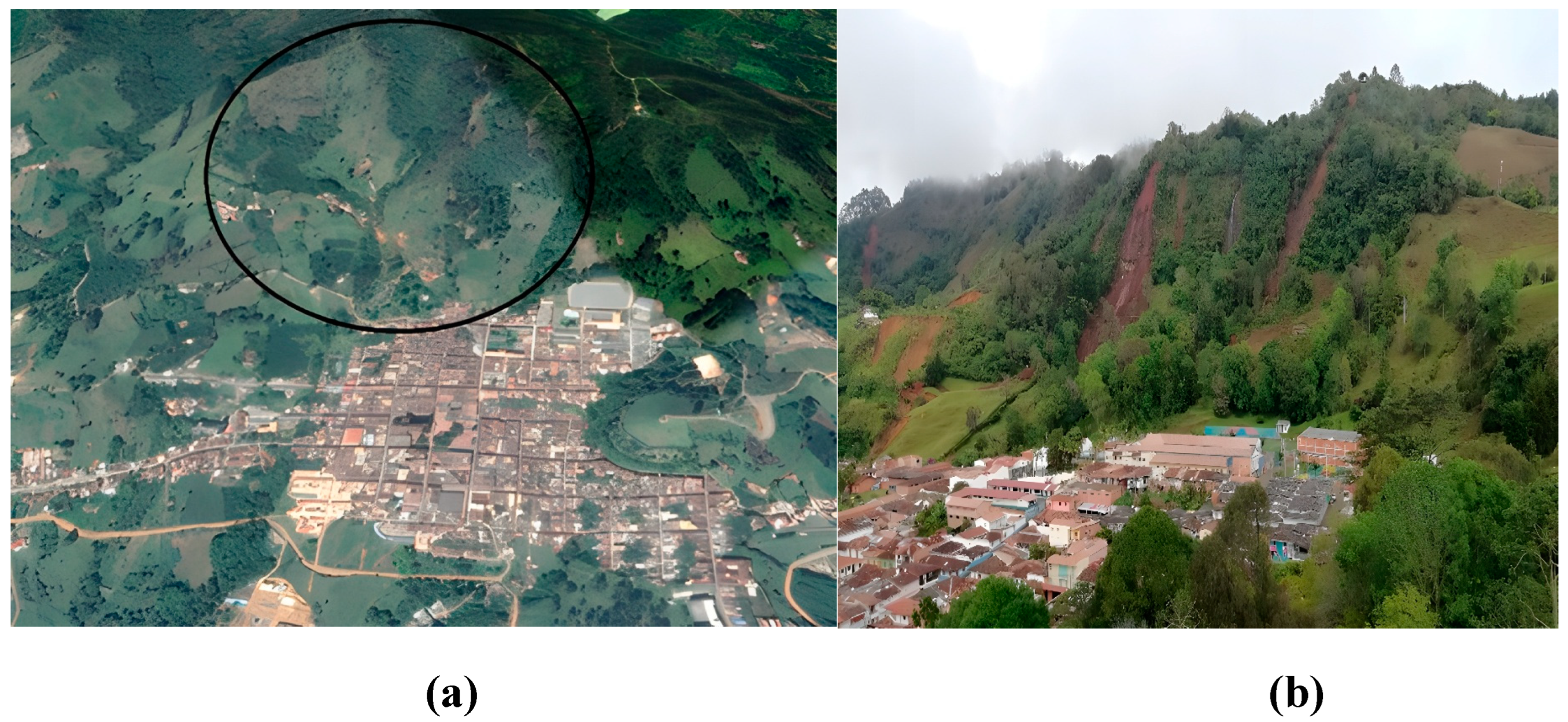 Preprints 149082 g001