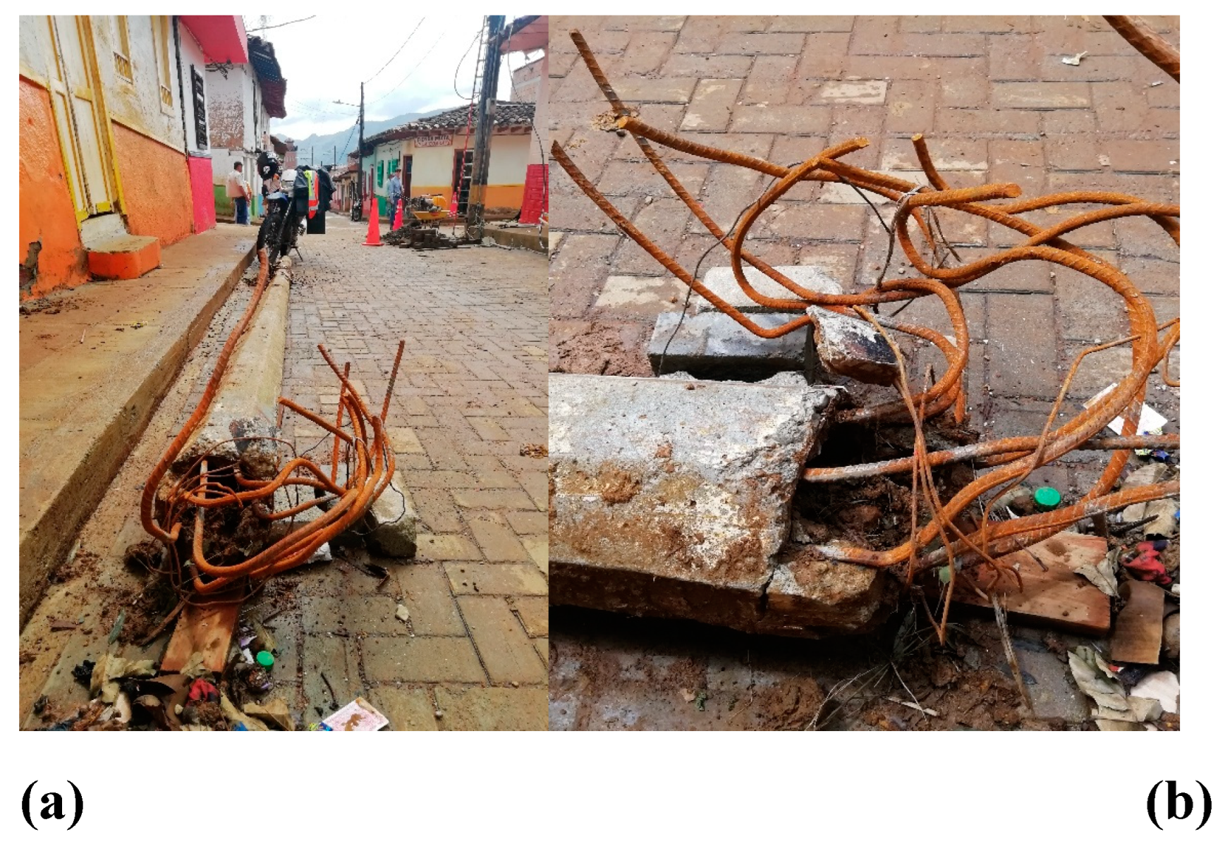 Preprints 149082 g014