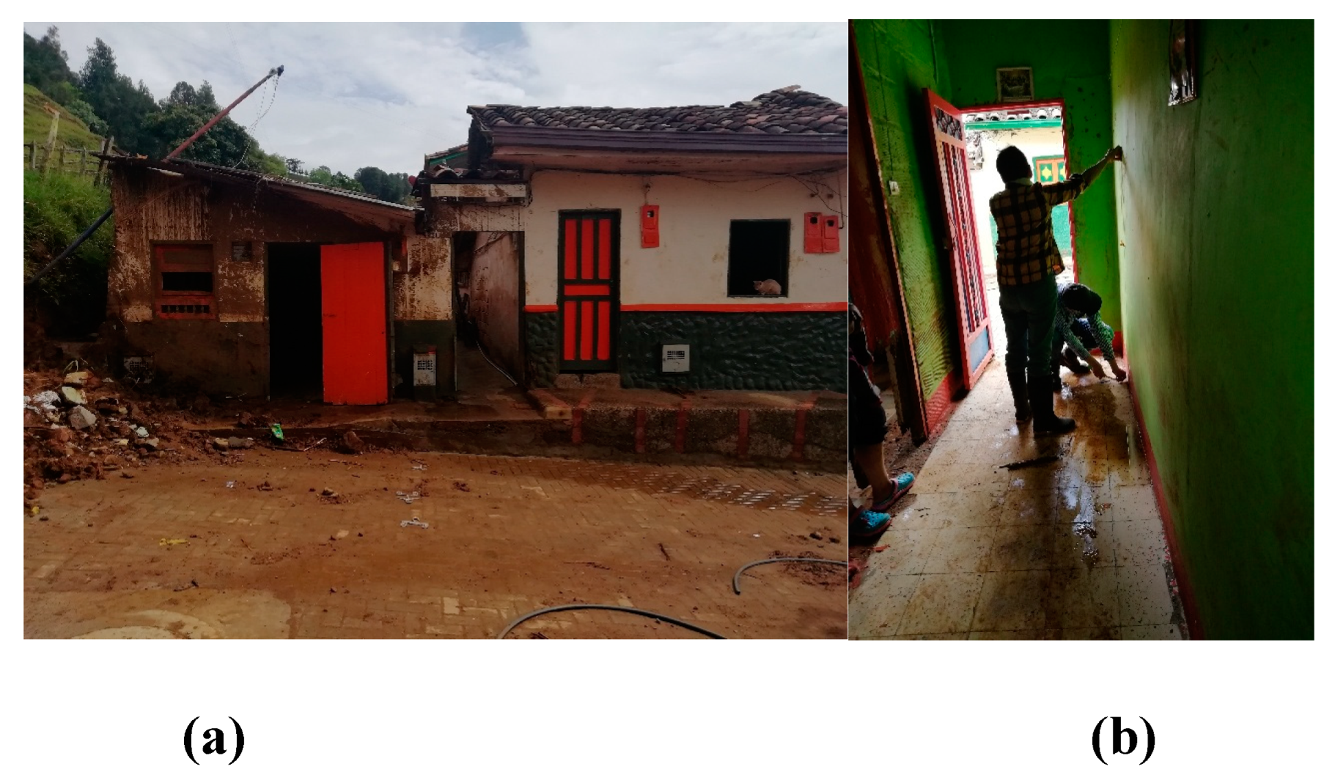 Preprints 149082 g016