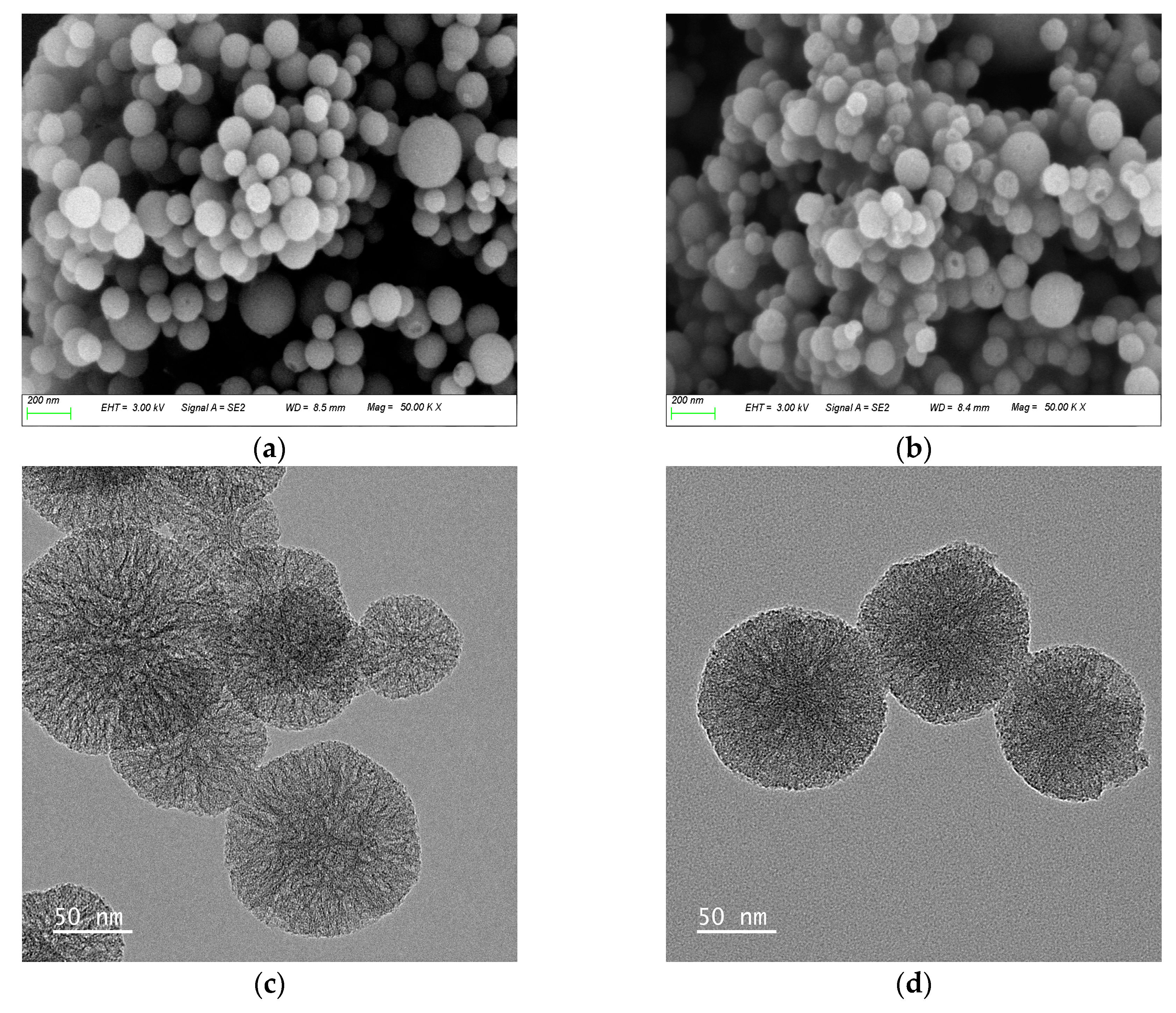Preprints 93346 g002
