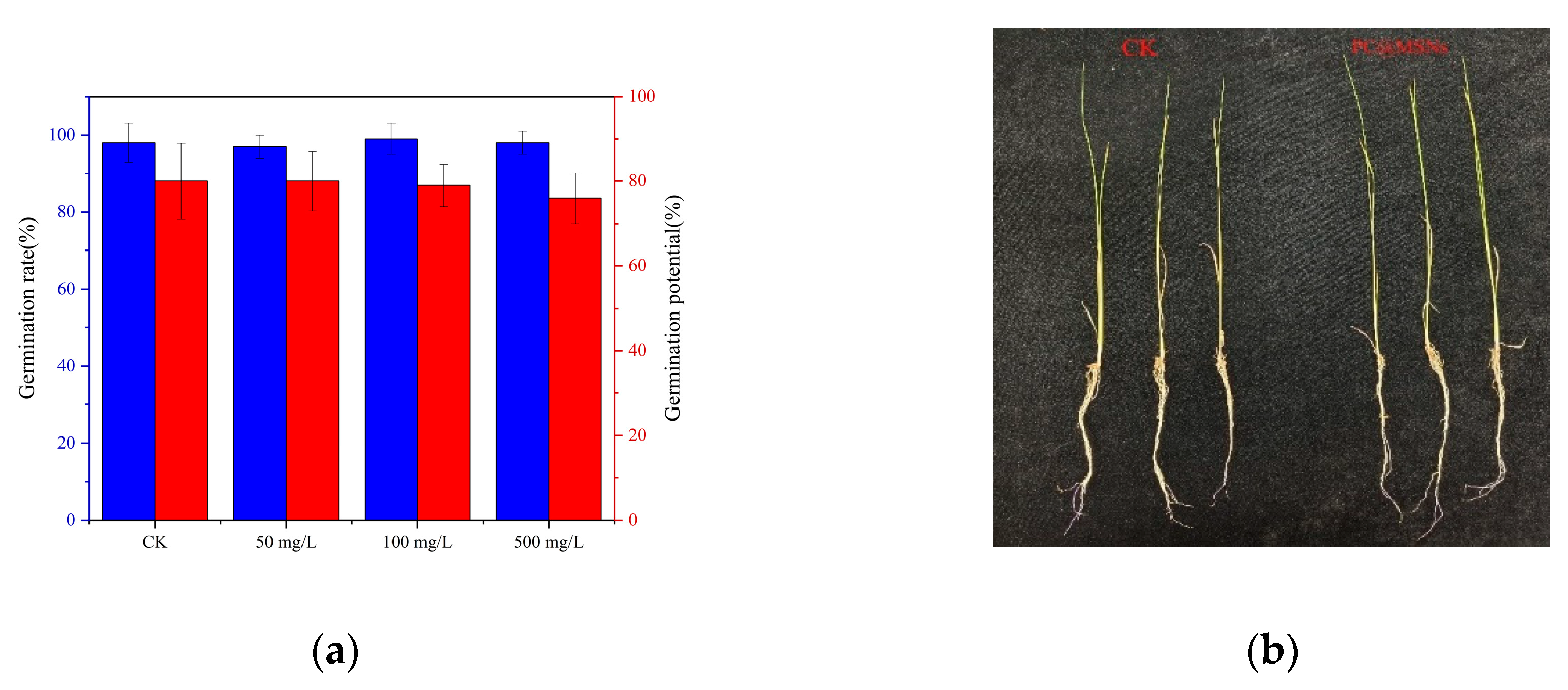 Preprints 93346 g008