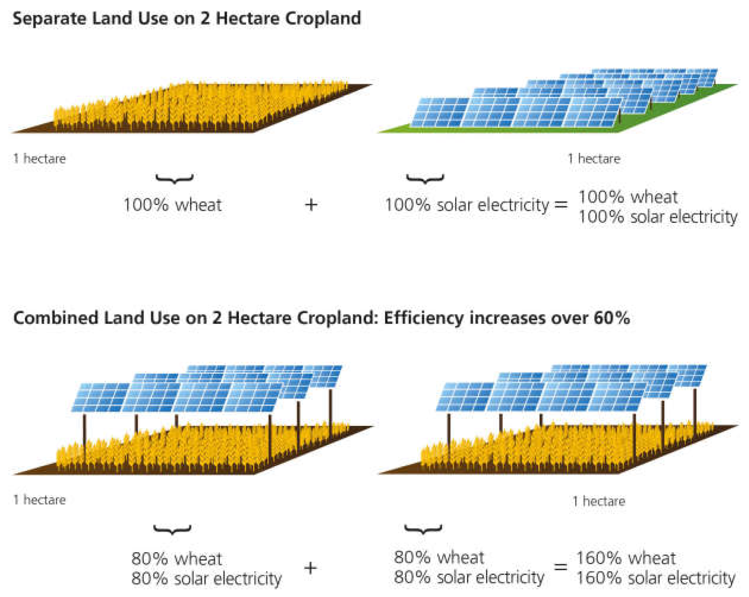 Preprints 194491 g005