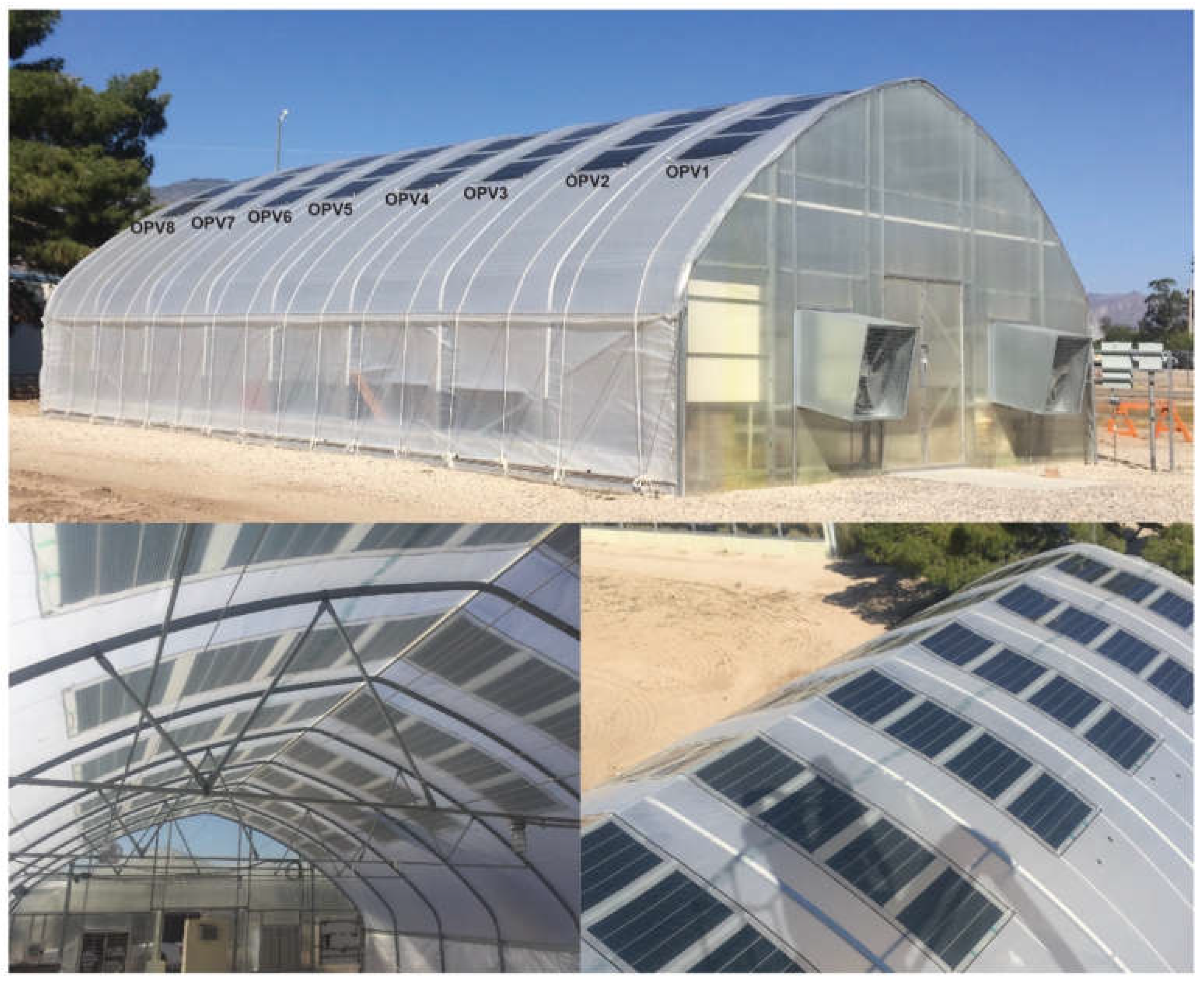 Preprints 194491 g006