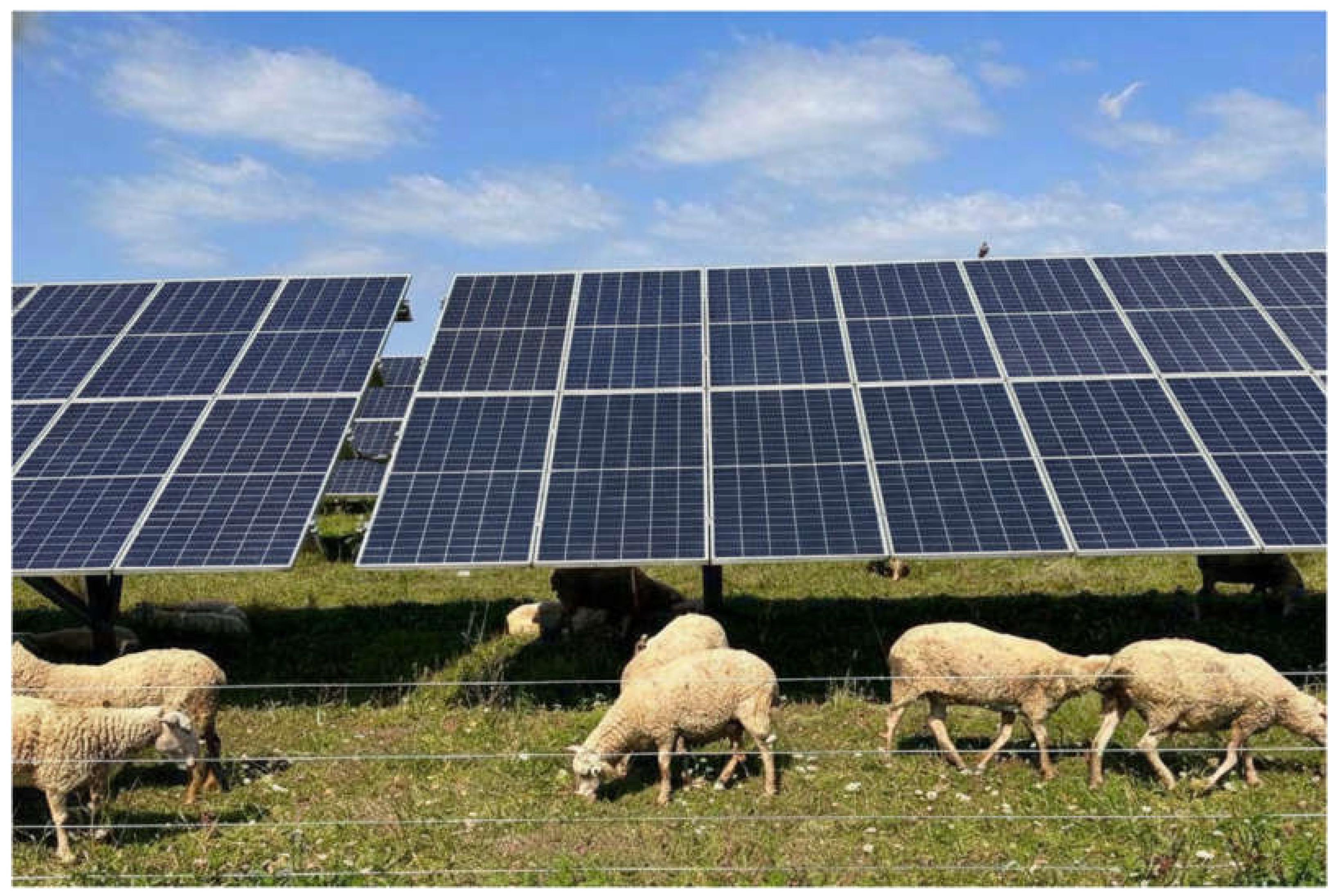 Preprints 194491 g008