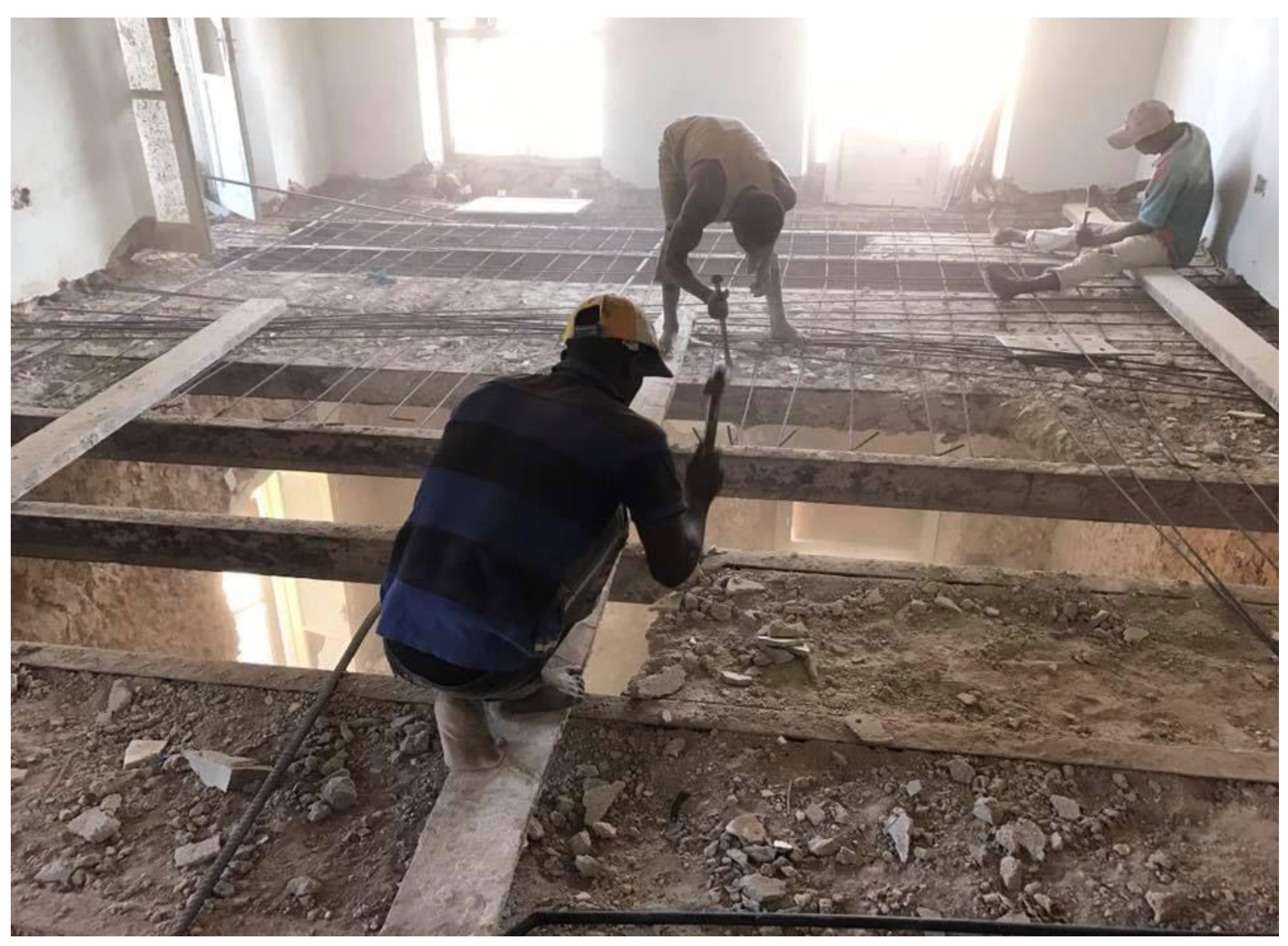 Preprints 142768 g002