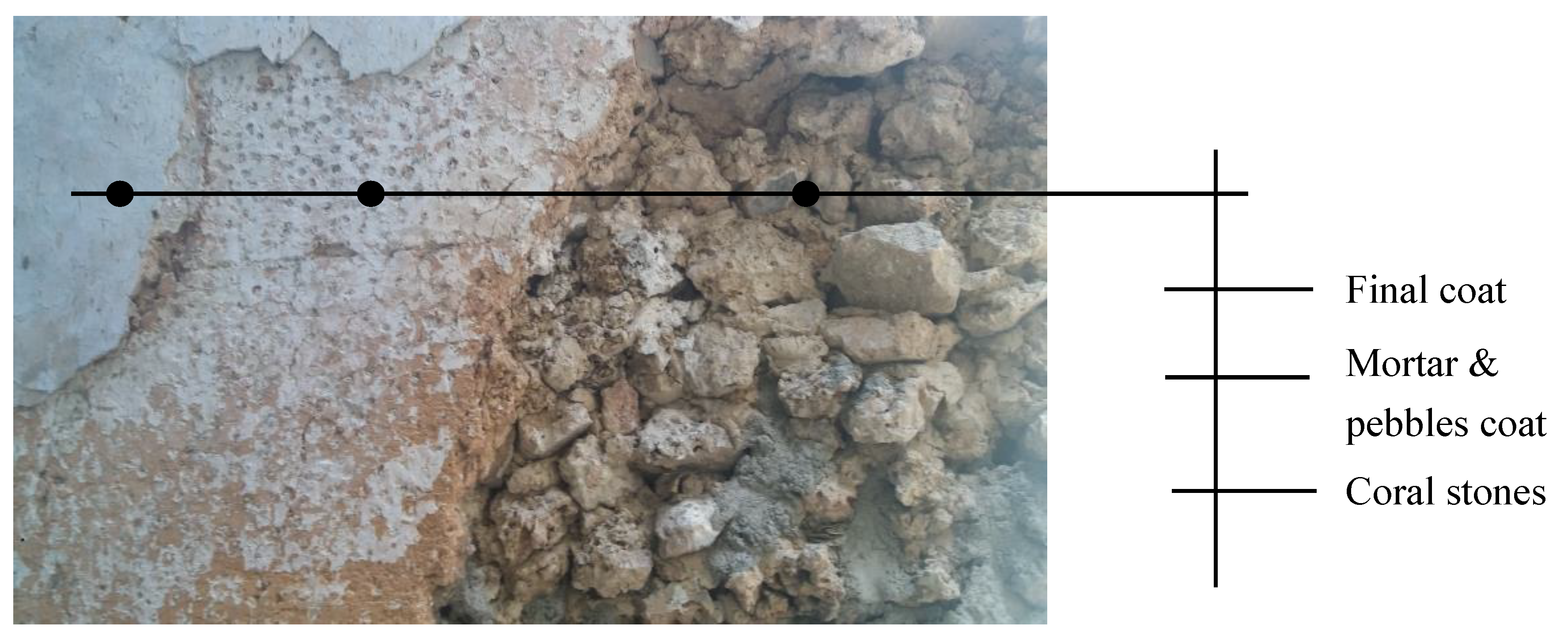 Preprints 142768 g008