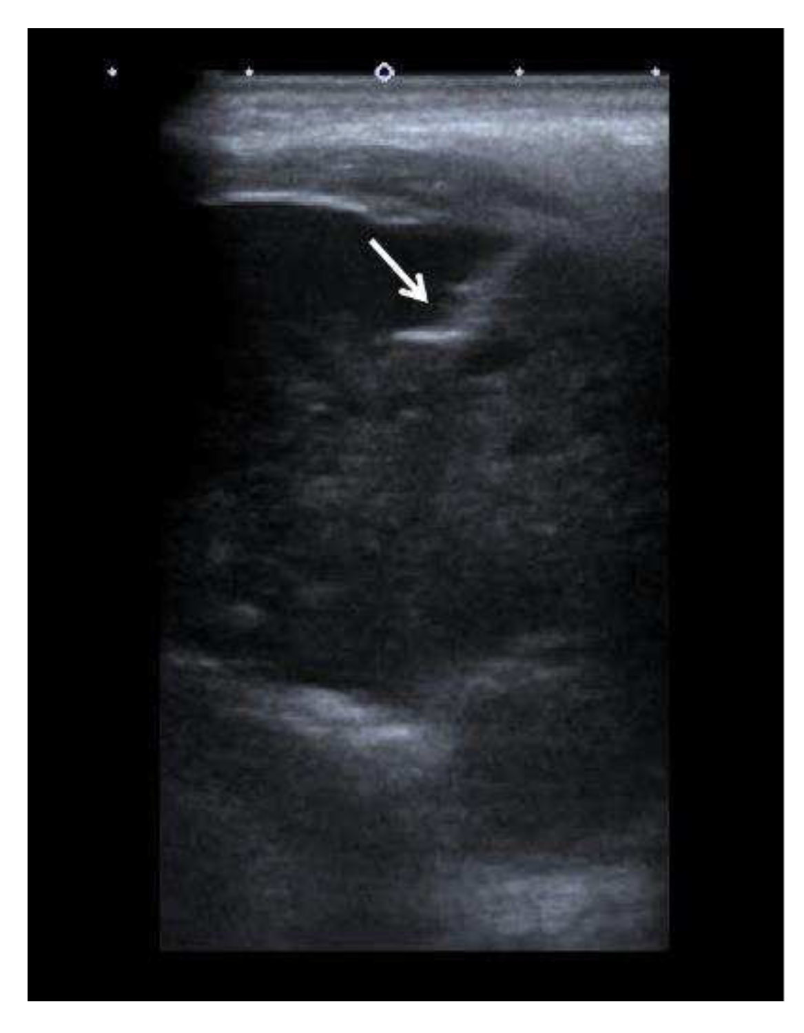 Preprints 86783 g003