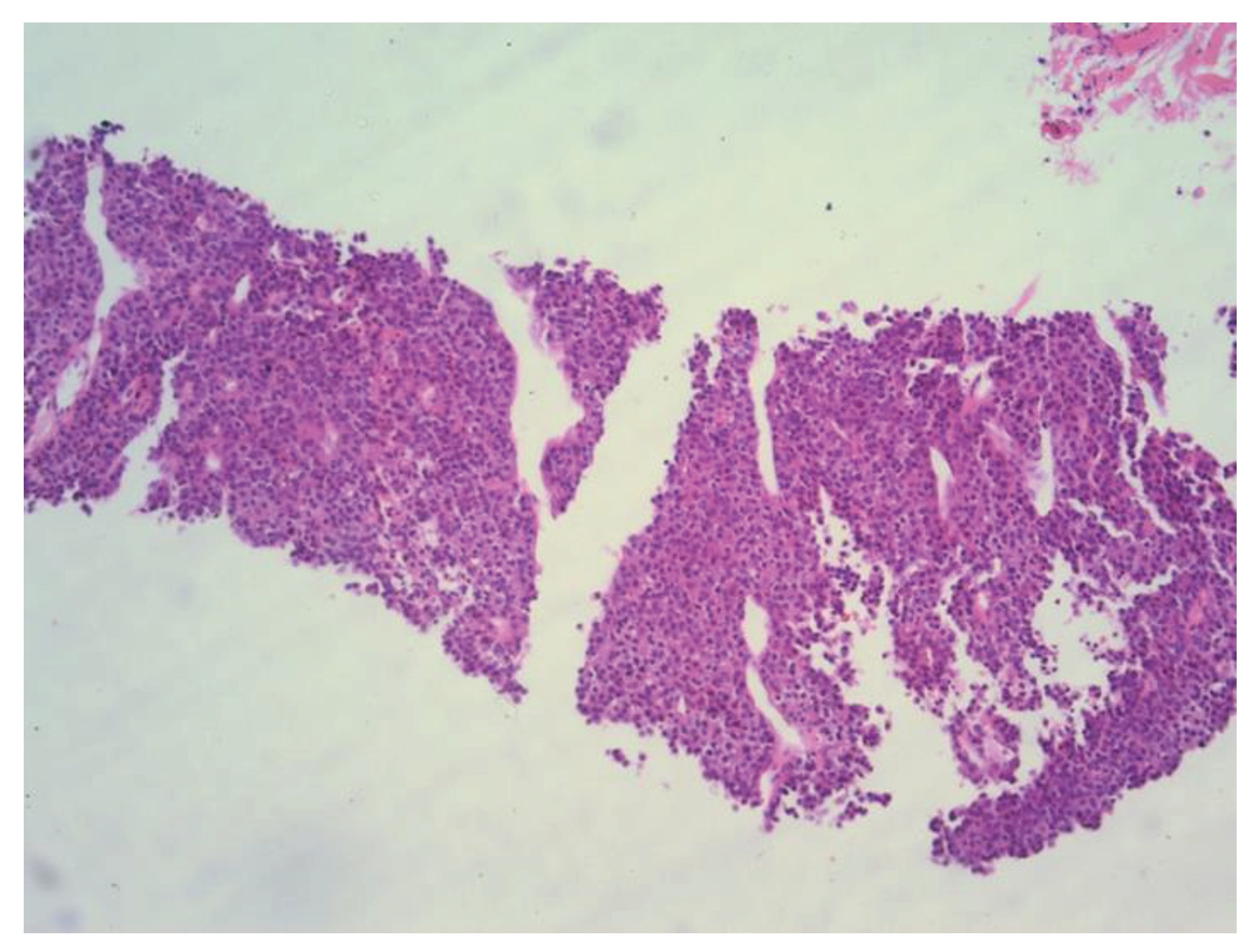 Preprints 86783 g004