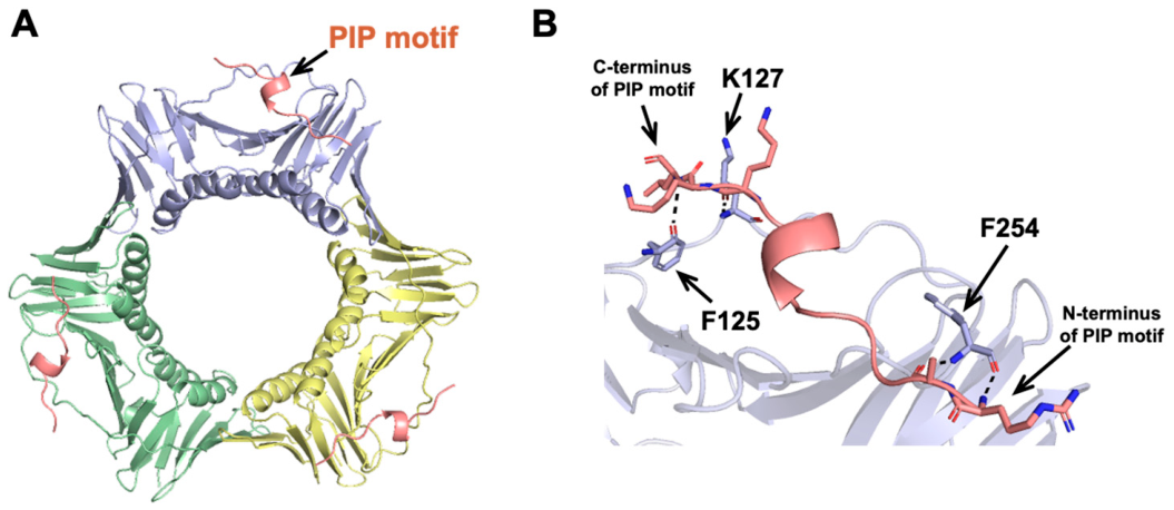 Preprints 224058 g001