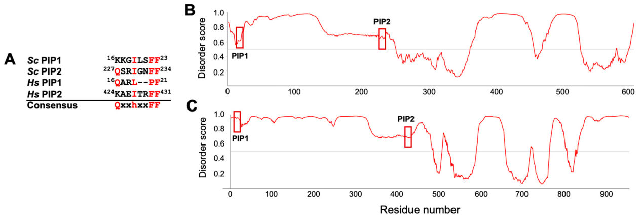 Preprints 224058 g002