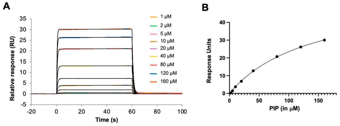 Preprints 224058 g003