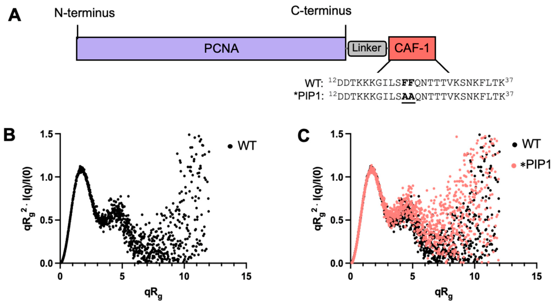 Preprints 224058 g004
