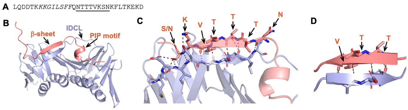 Preprints 224058 g005