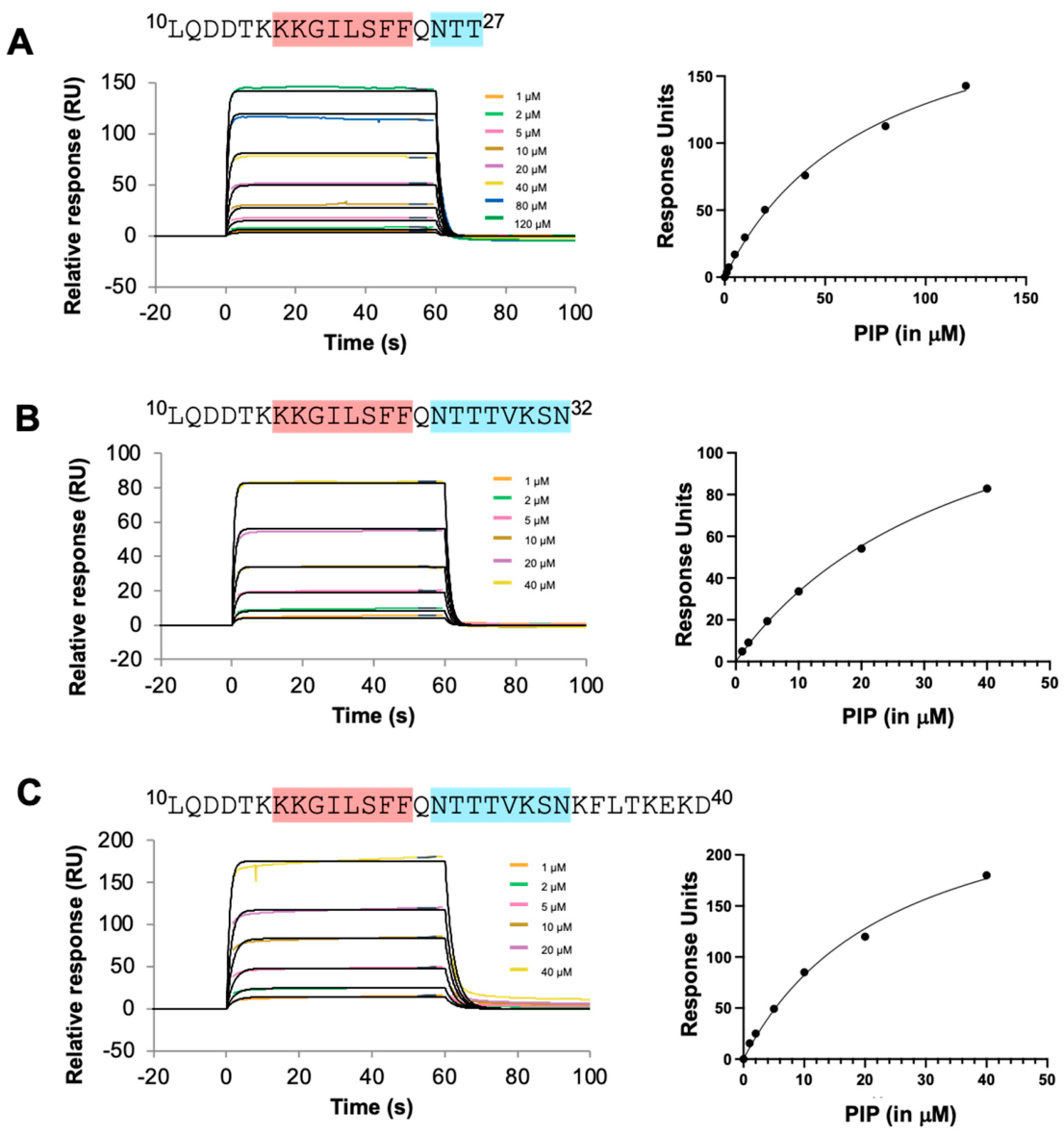 Preprints 224058 g006