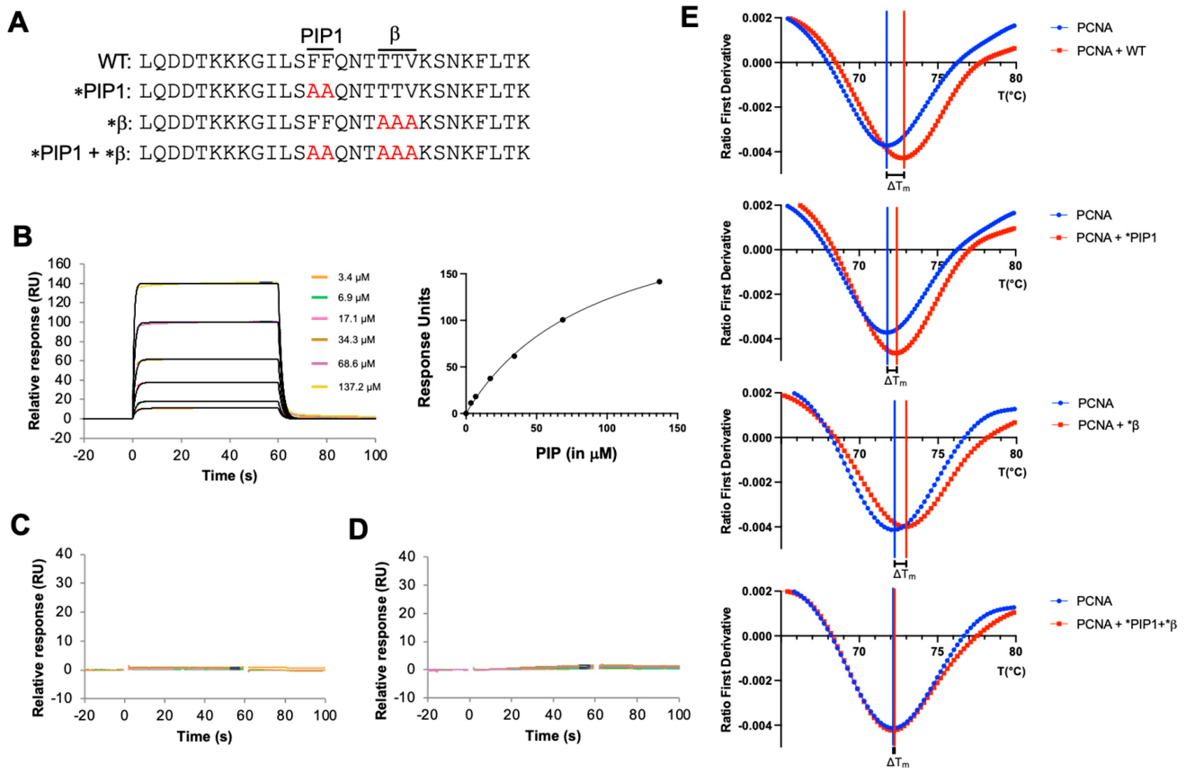 Preprints 224058 g007