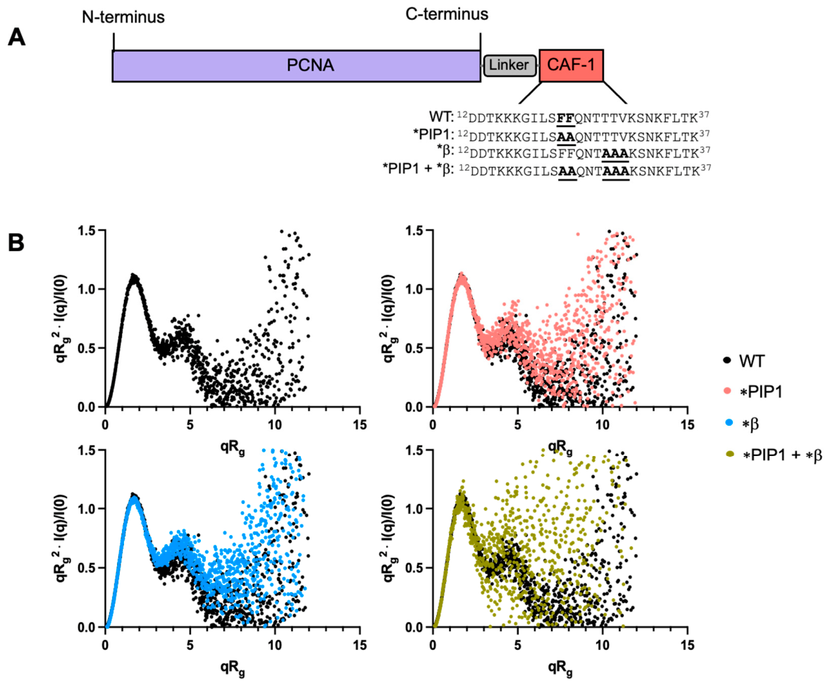 Preprints 224058 g008