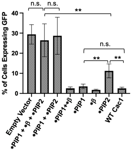 Preprints 224058 g009
