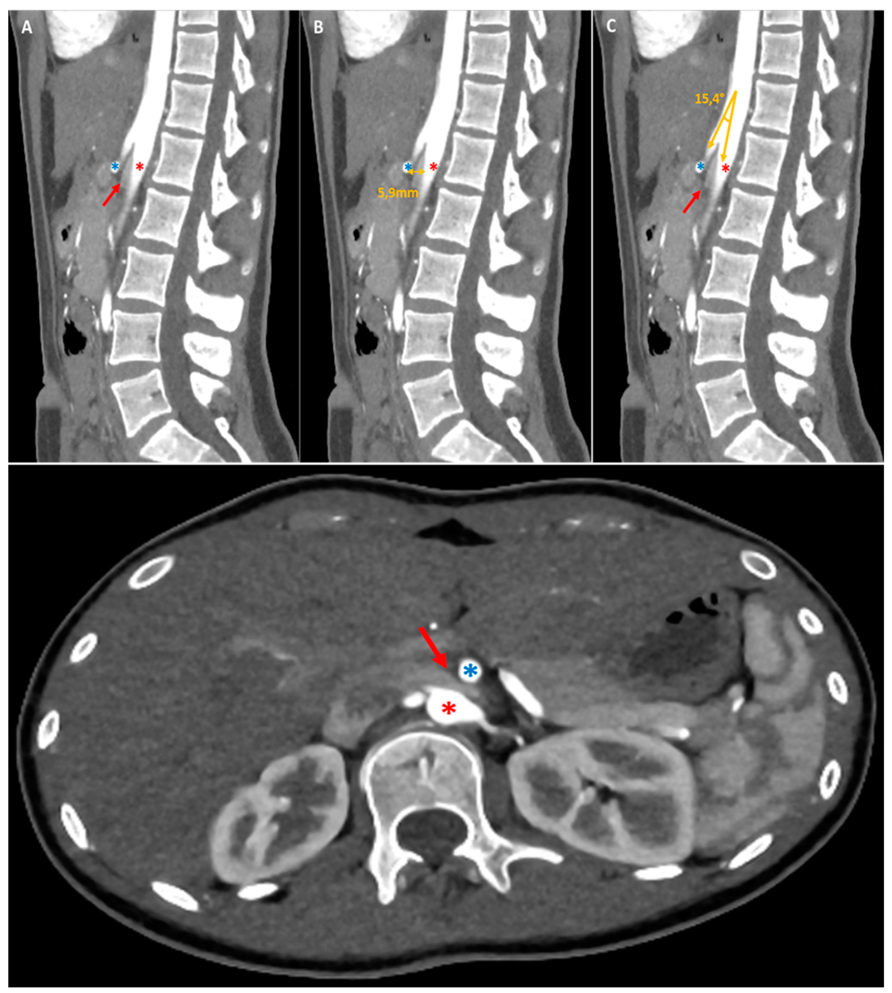 Preprints 142243 g001
