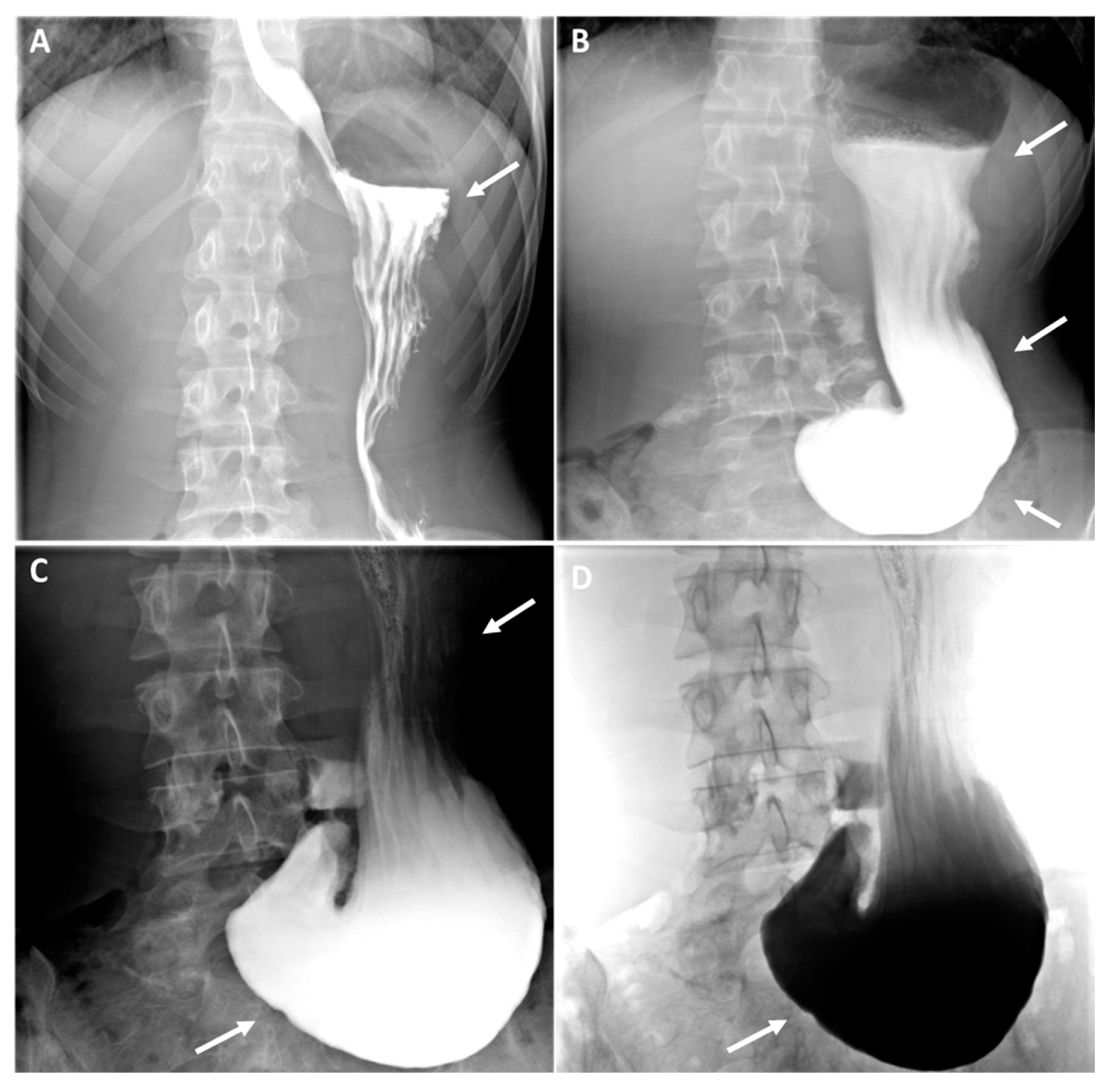 Preprints 142243 g002