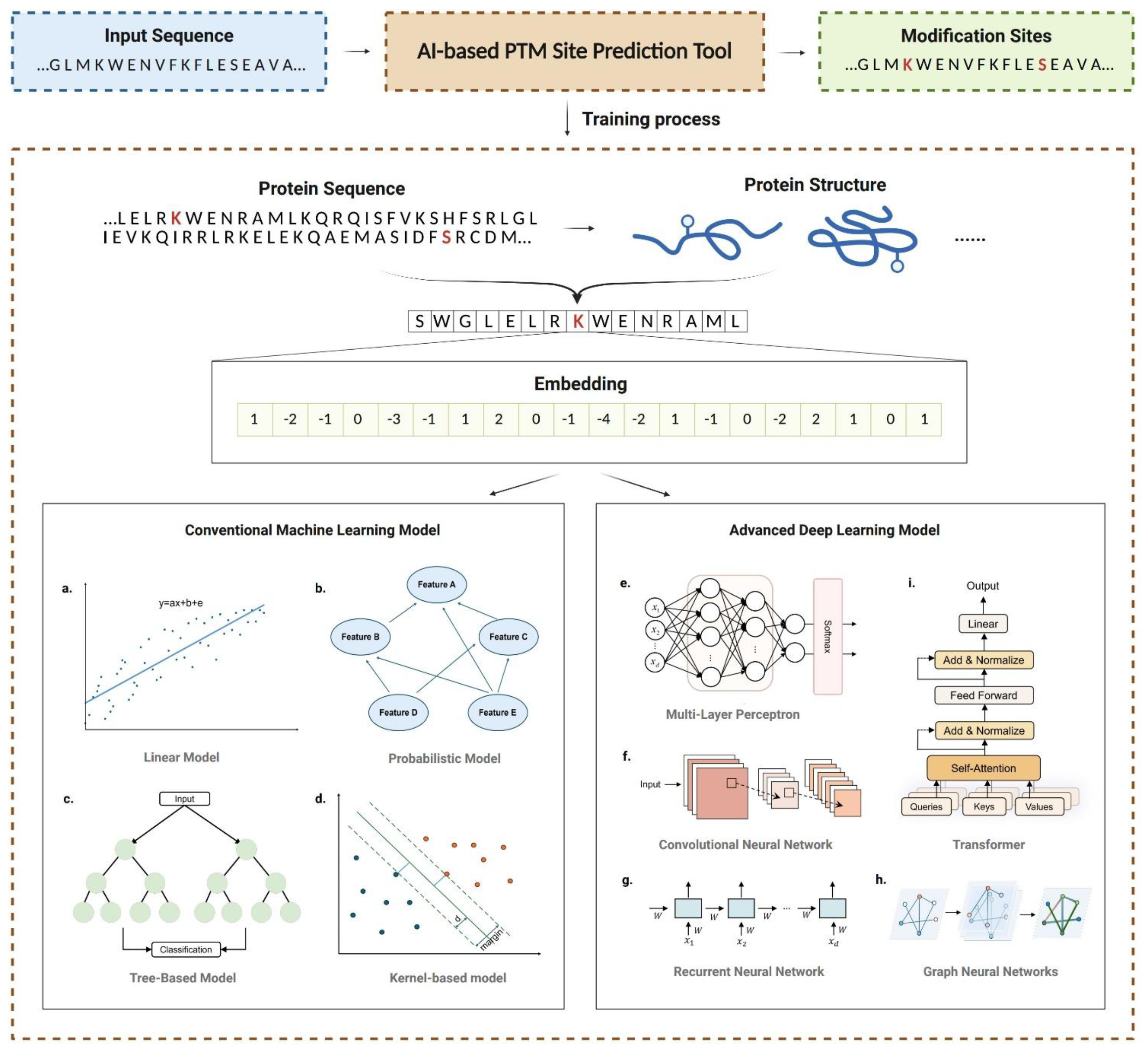 Artiffcial Intelligence in Post-Translational Modiffcation Site Artiffcial Intelligence in Post-Translational Modiffcation Site