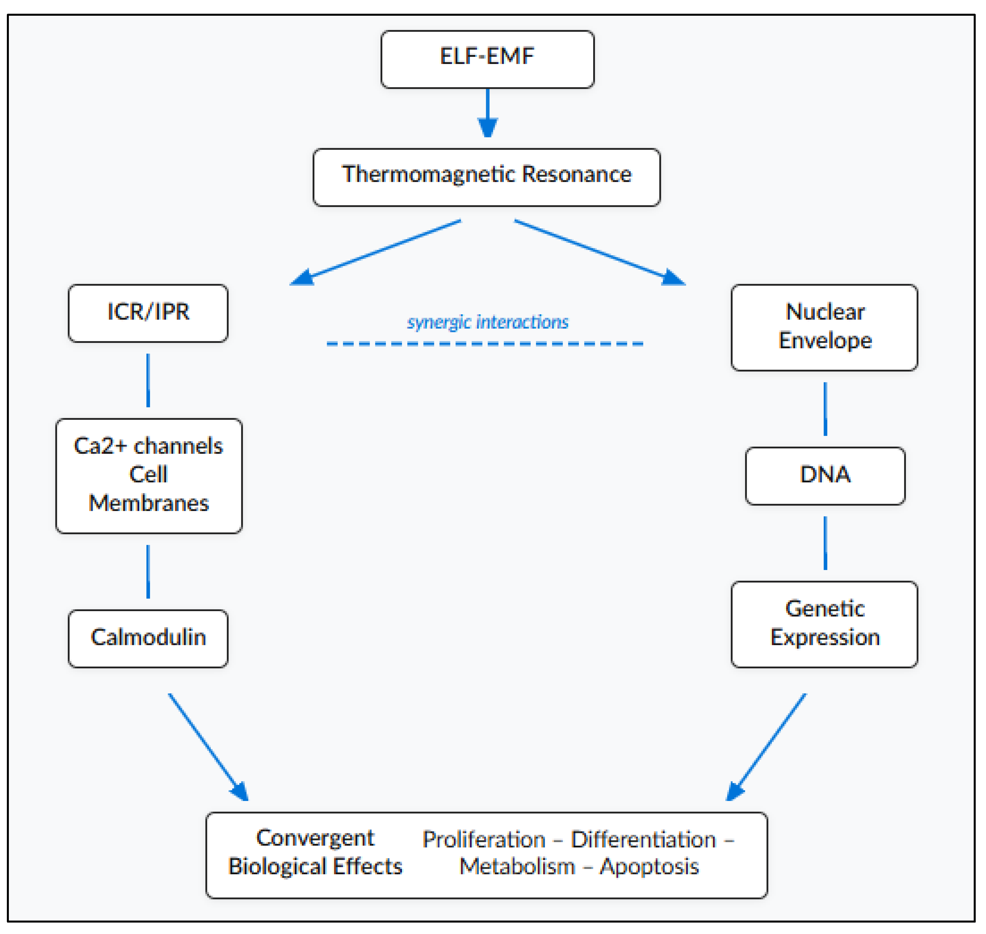 Preprints 187554 g006