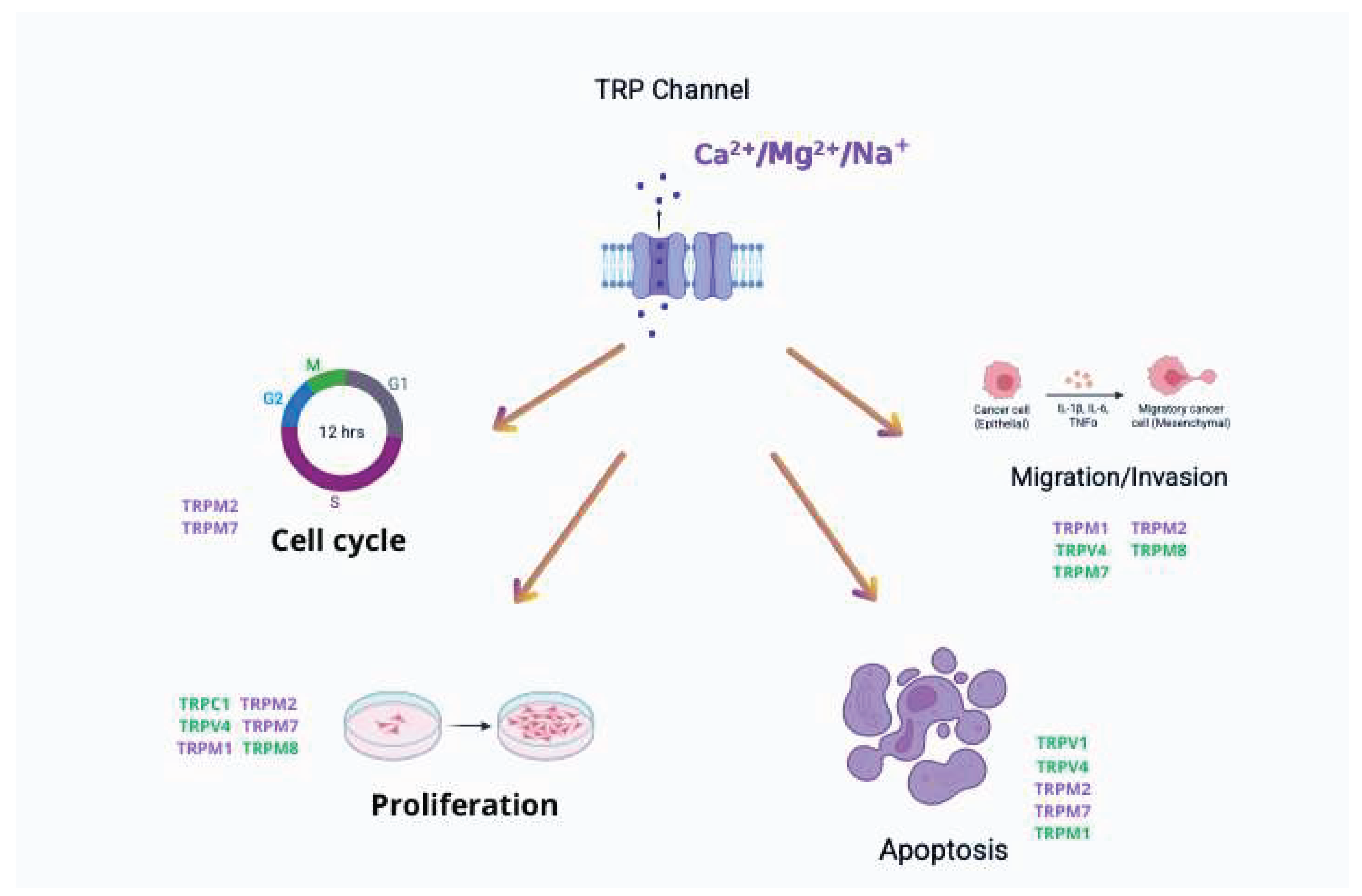 Preprints 170369 g001