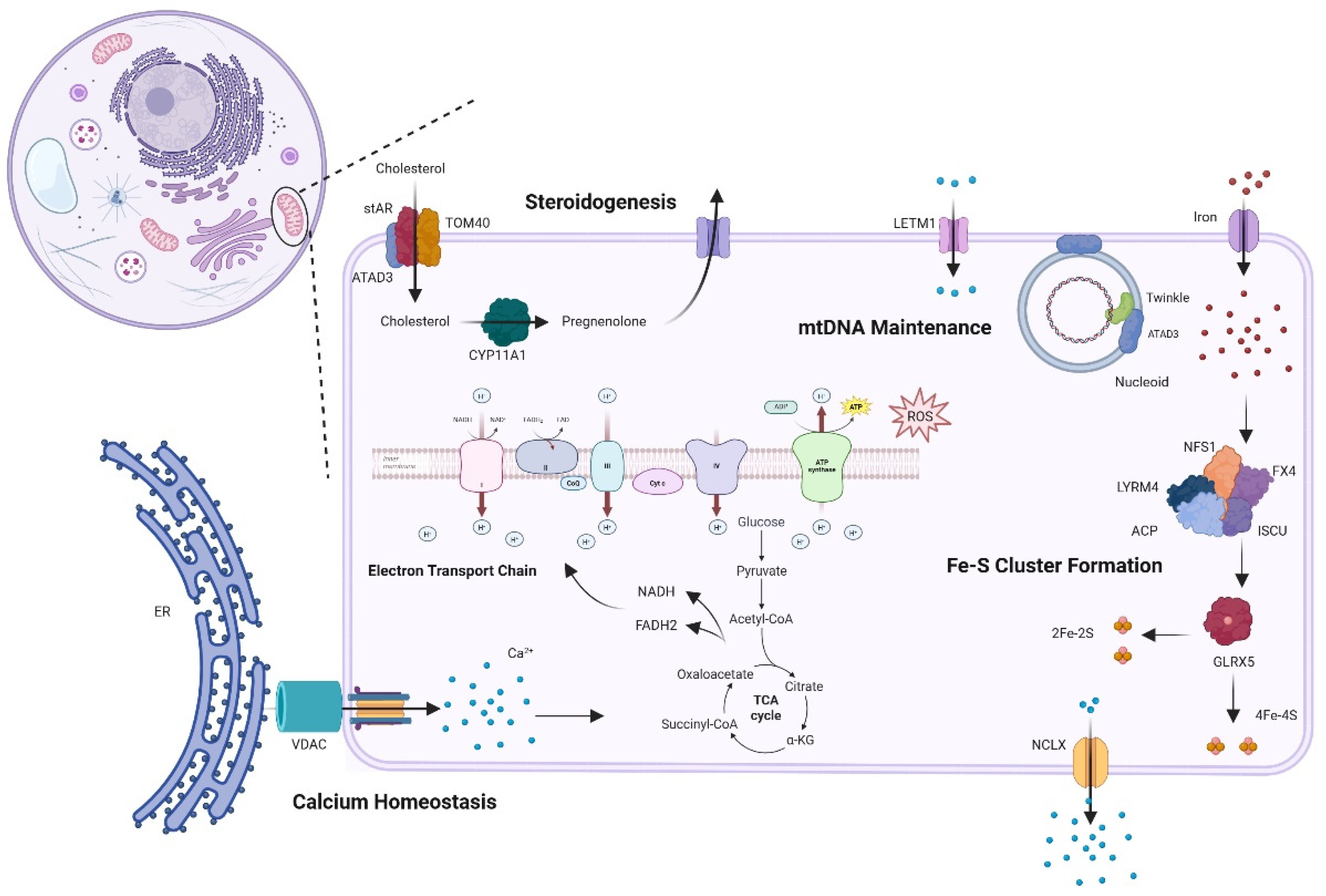 Preprints 201127 g001