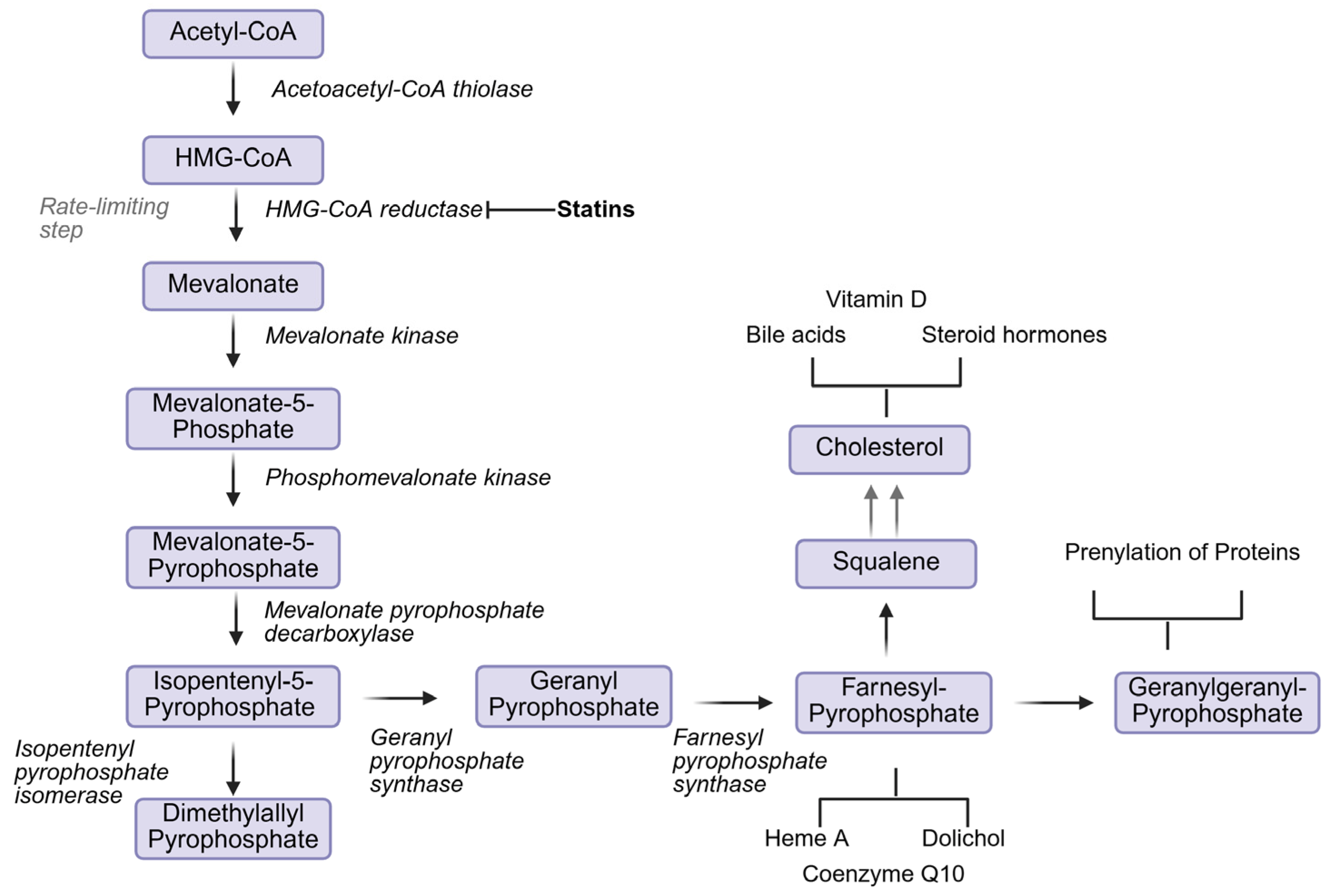 Preprints 201127 g002