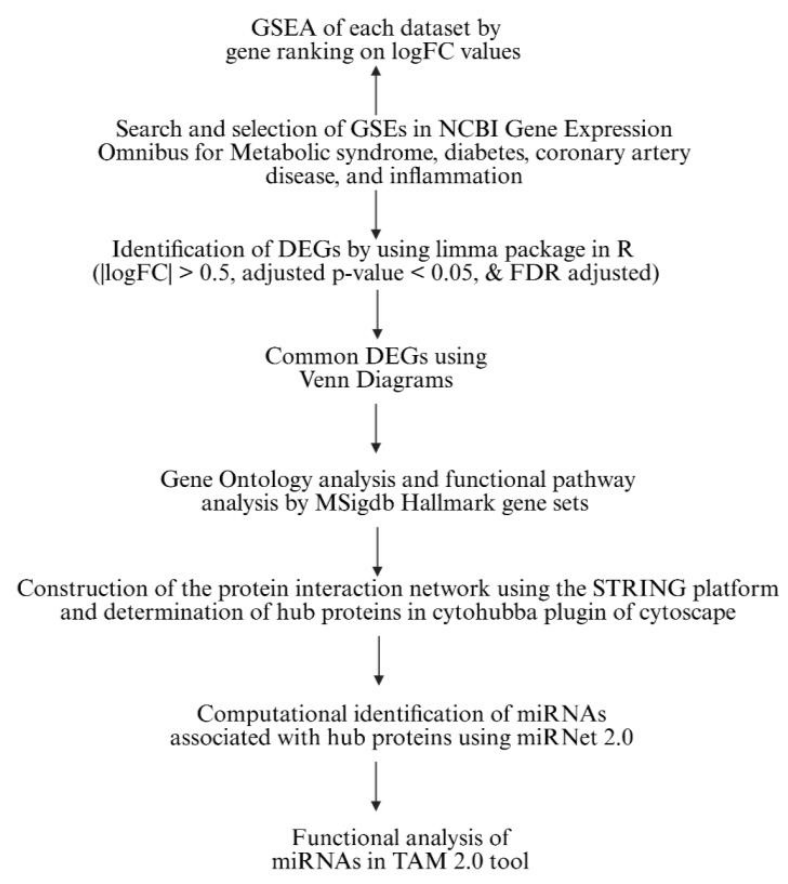 Preprints 215780 g001