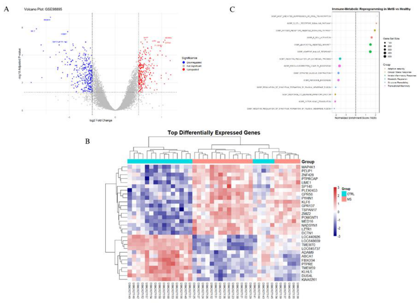 Preprints 215780 g003