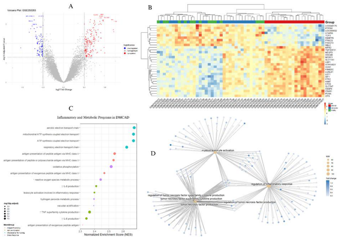 Preprints 215780 g004