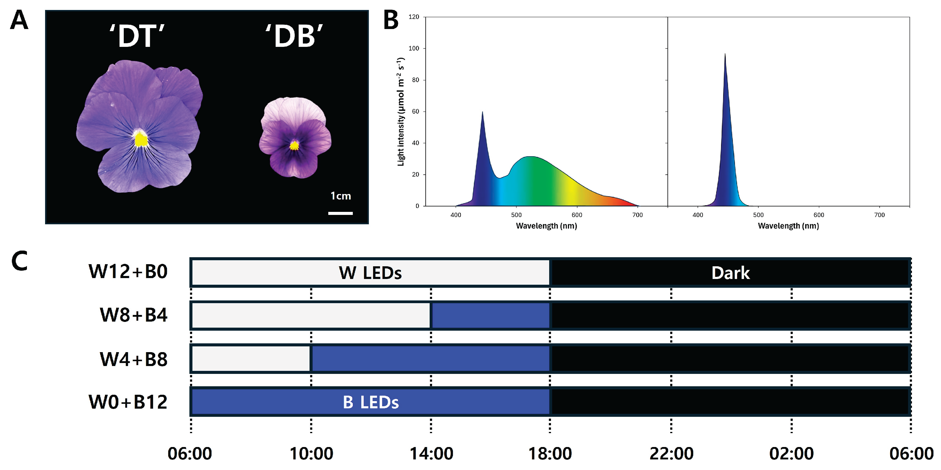 Preprints 165946 g001