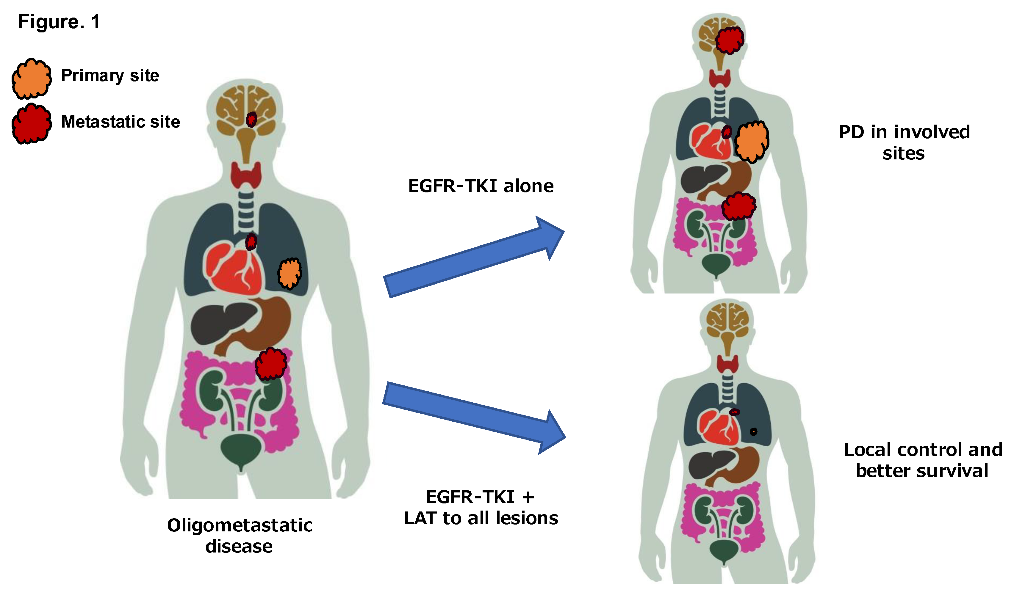 Preprints 162013 g001