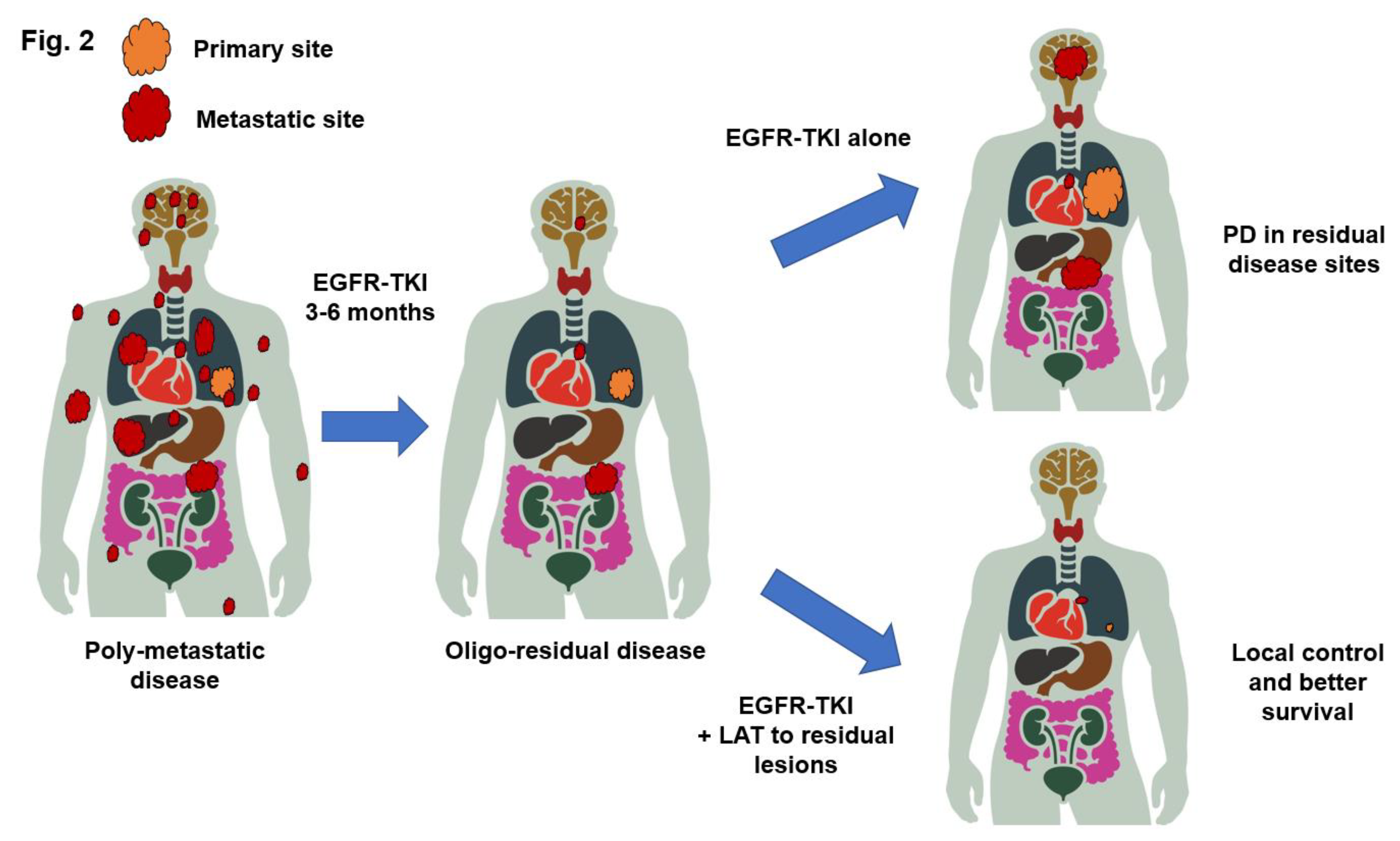 Preprints 162013 g002