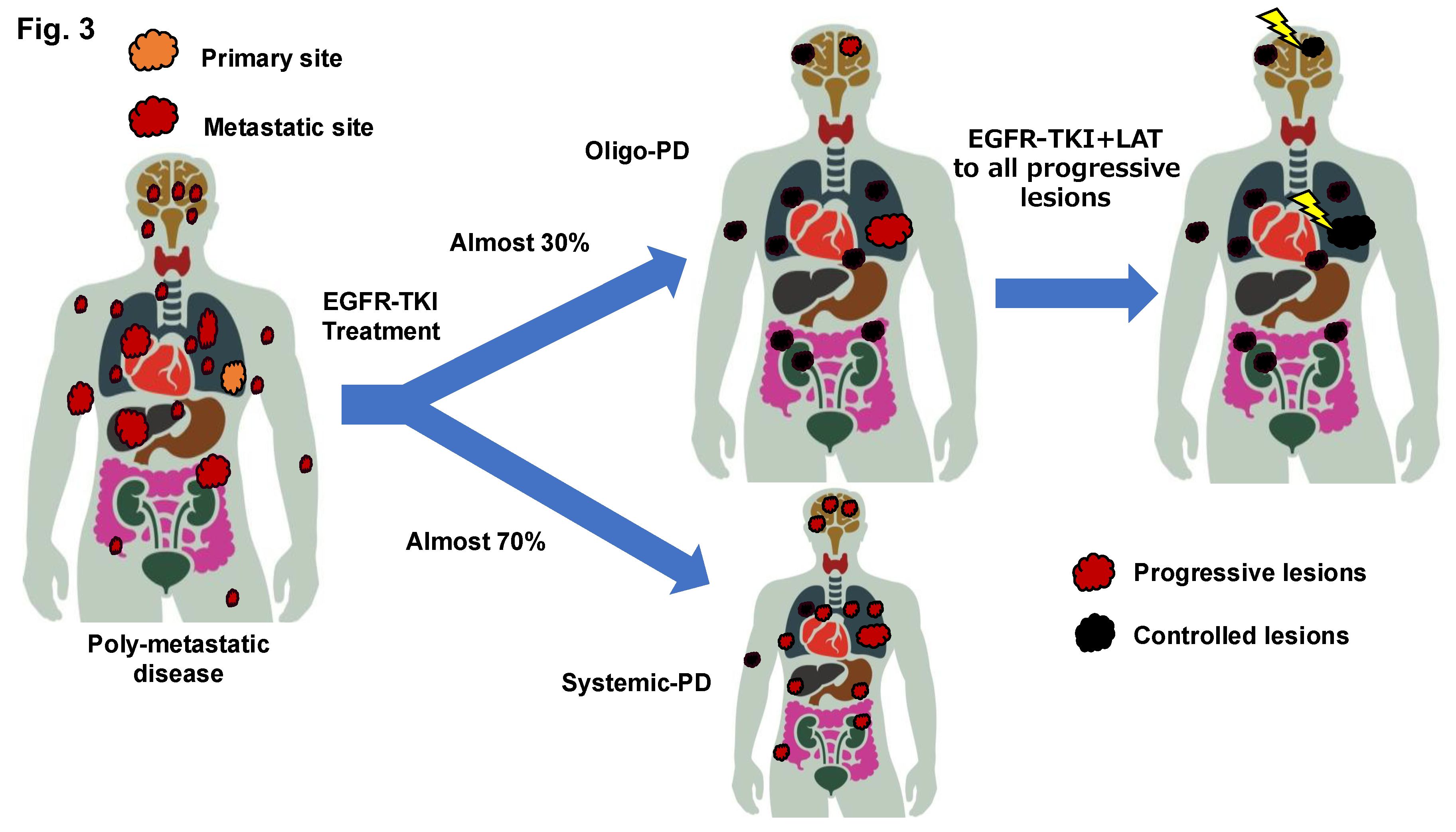 Preprints 162013 g003