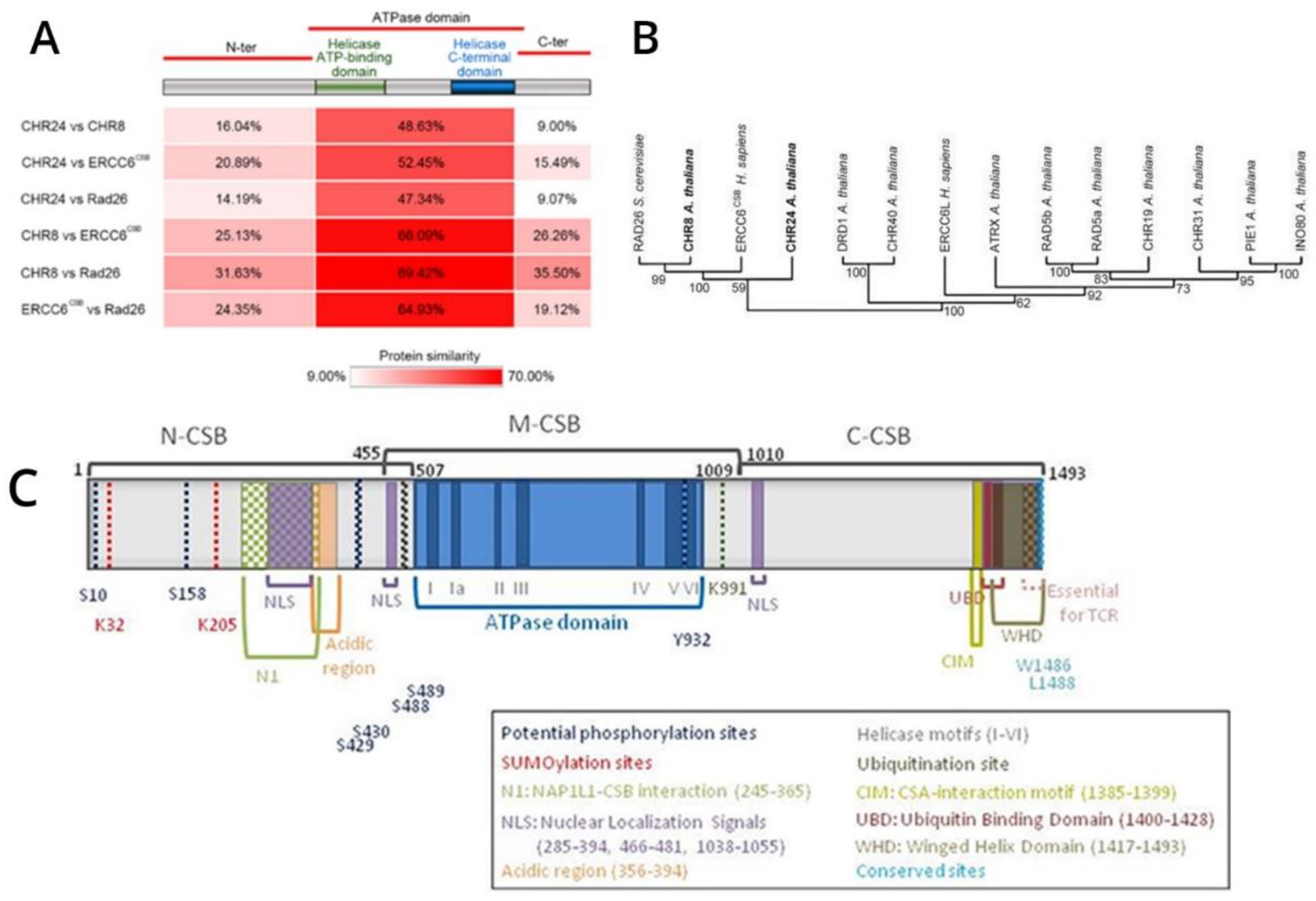Preprints 163235 g001